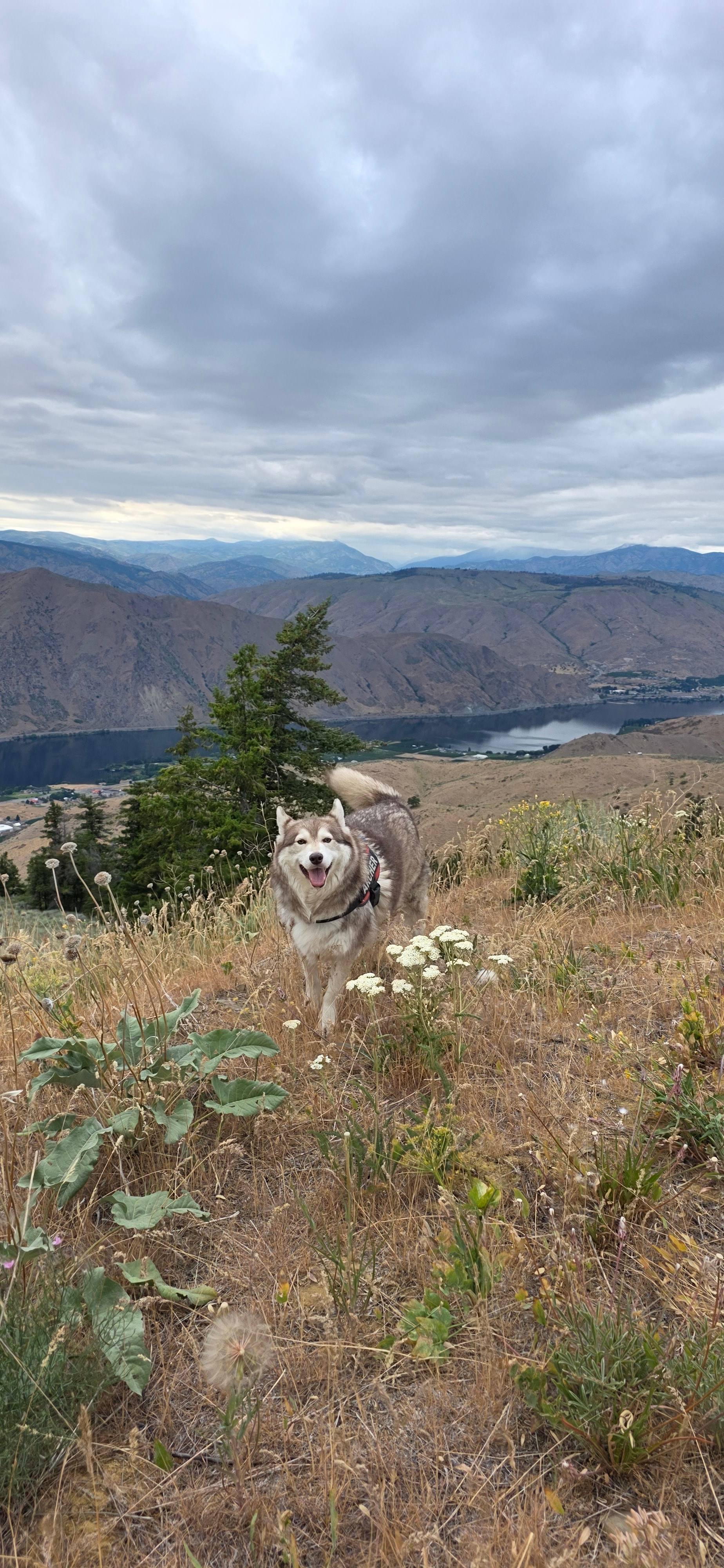 Paradise View Retreat