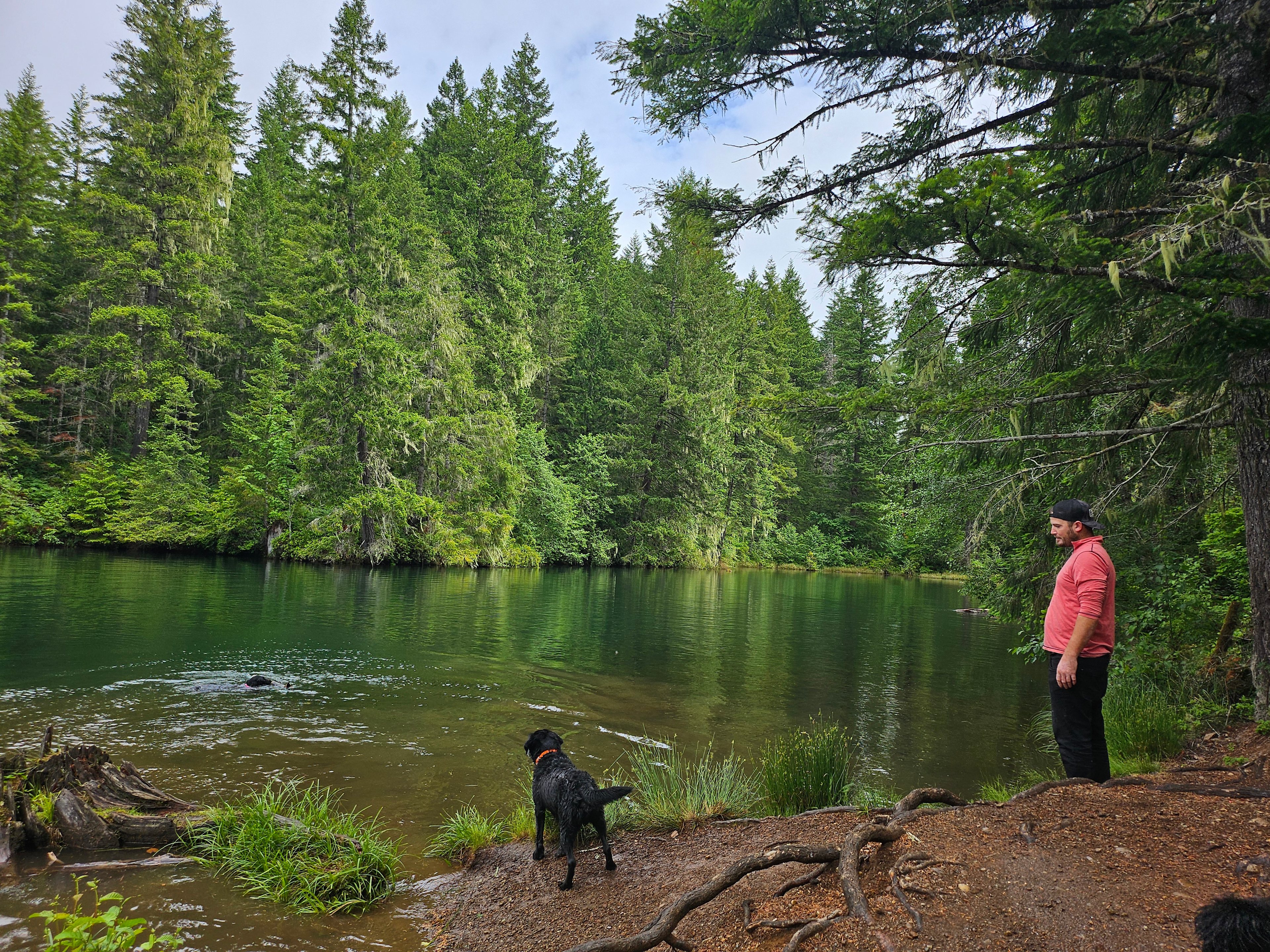 Lake Cushman RV Camping Lot