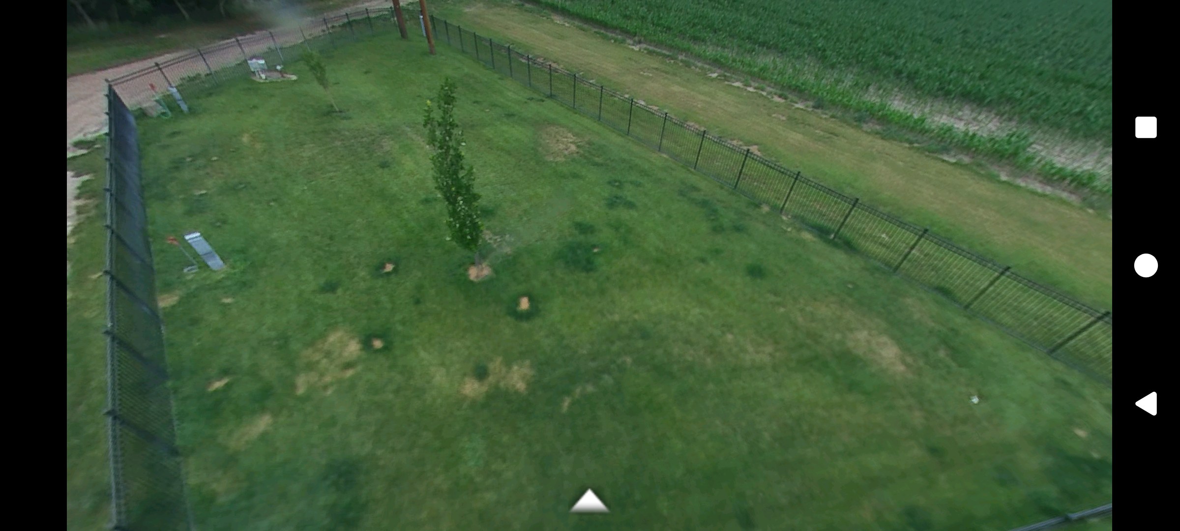 Dog park with 6 foot fence