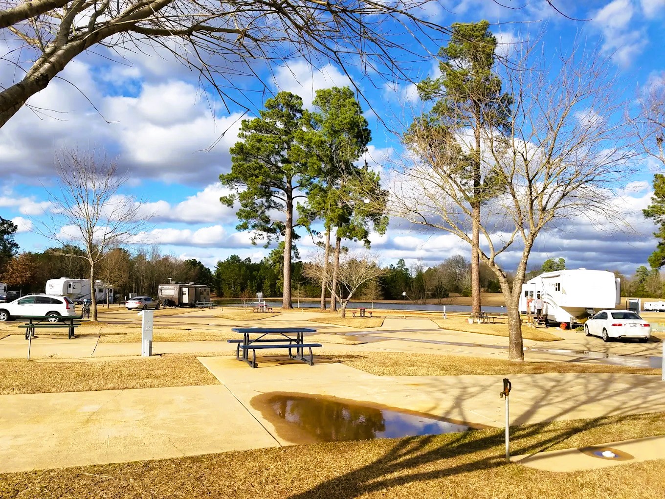 Shady Pines RV Park