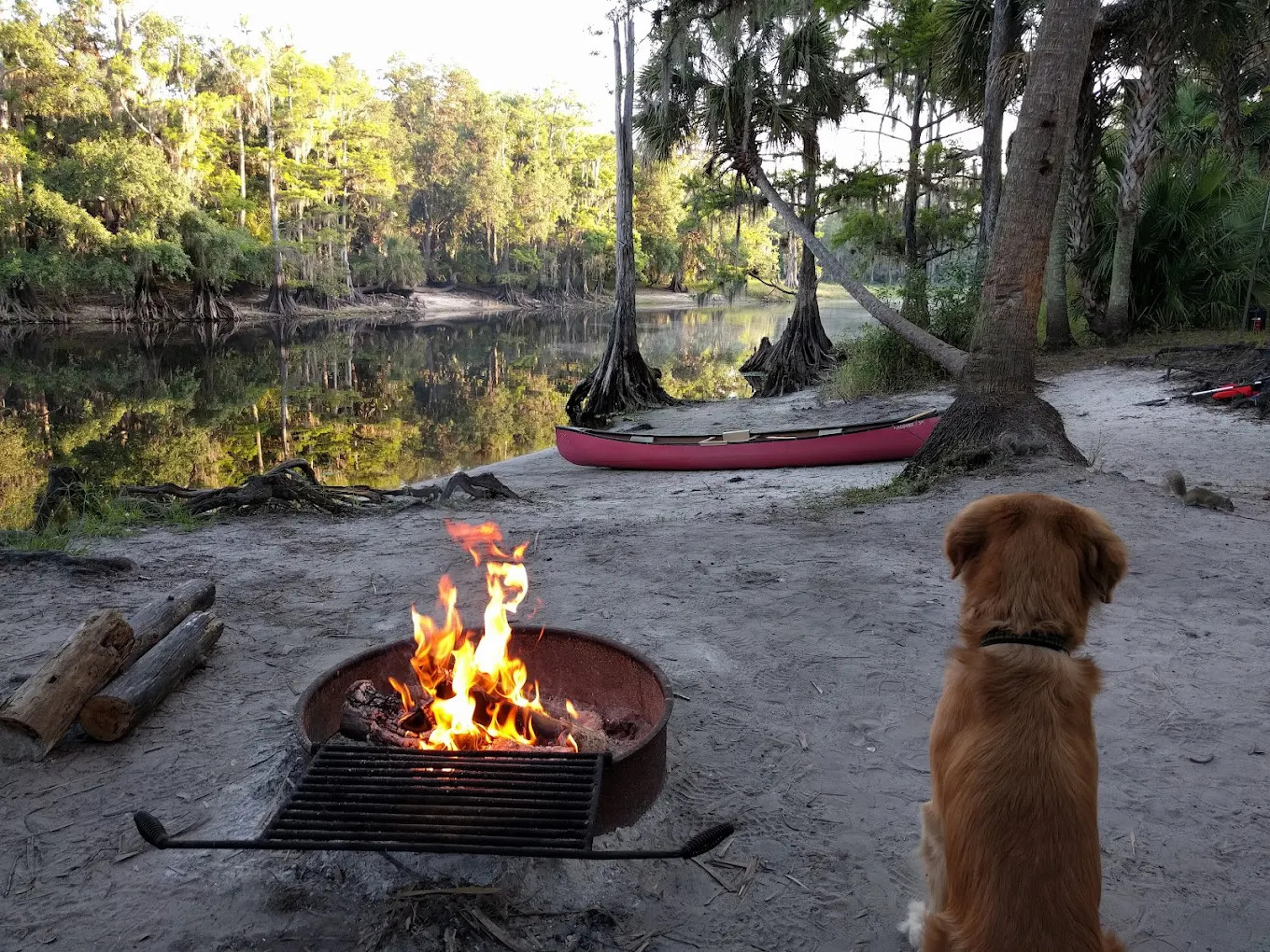 Fisheating Creek Outpost