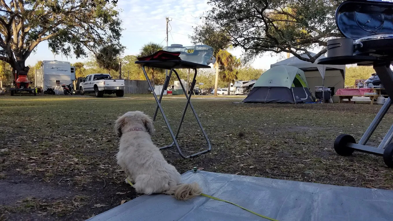 Fisheating Creek Outpost