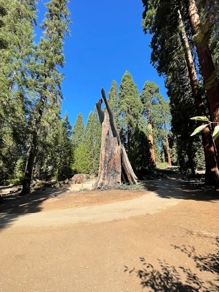 Balch Park Campground