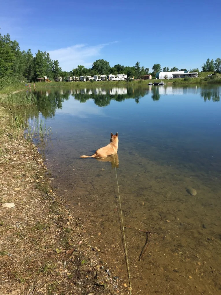 Attica Pines Campground