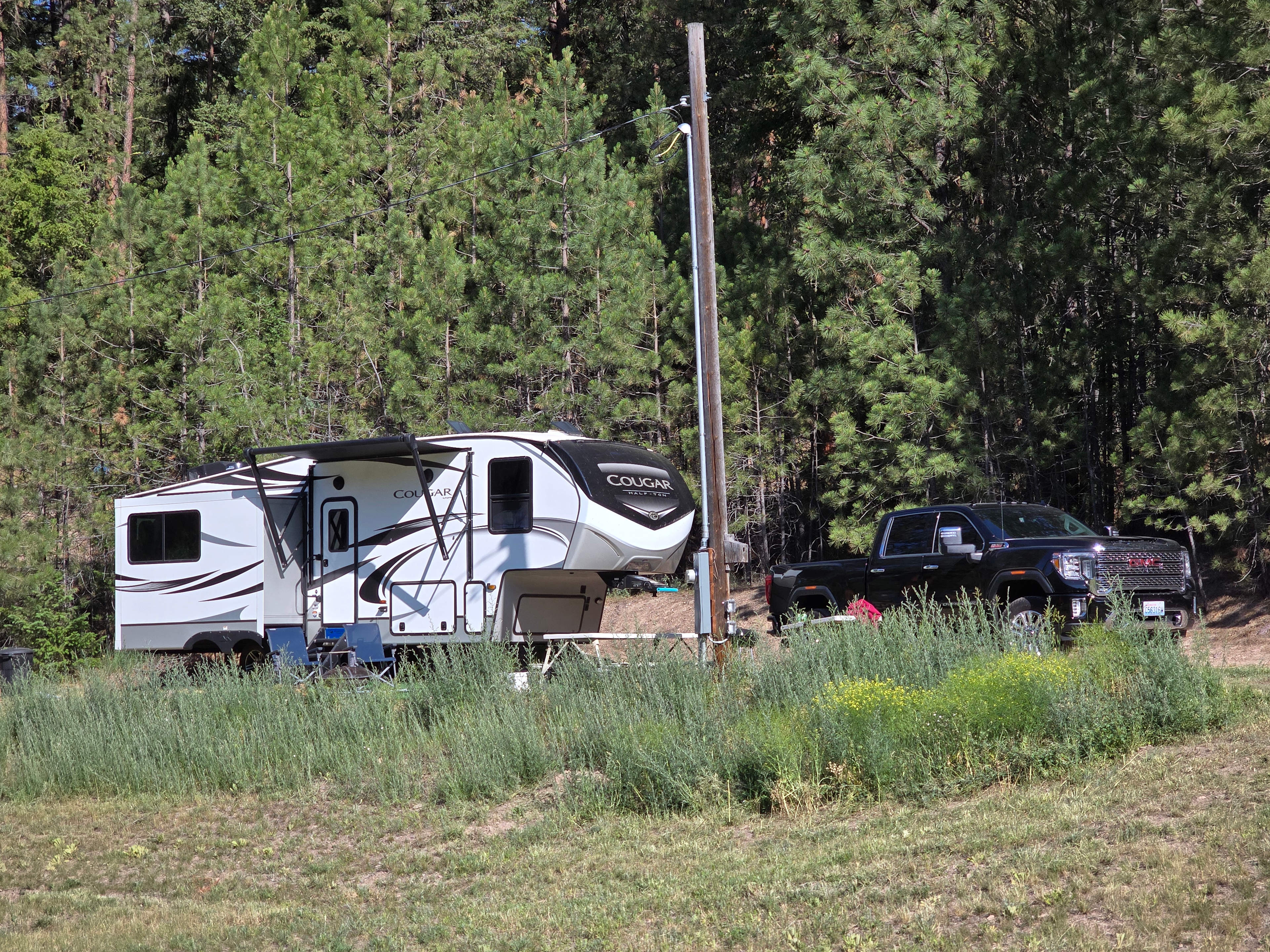Lots of trees and pull through site.