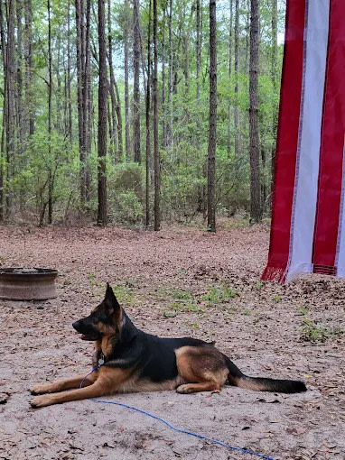Mossy Oak Campground