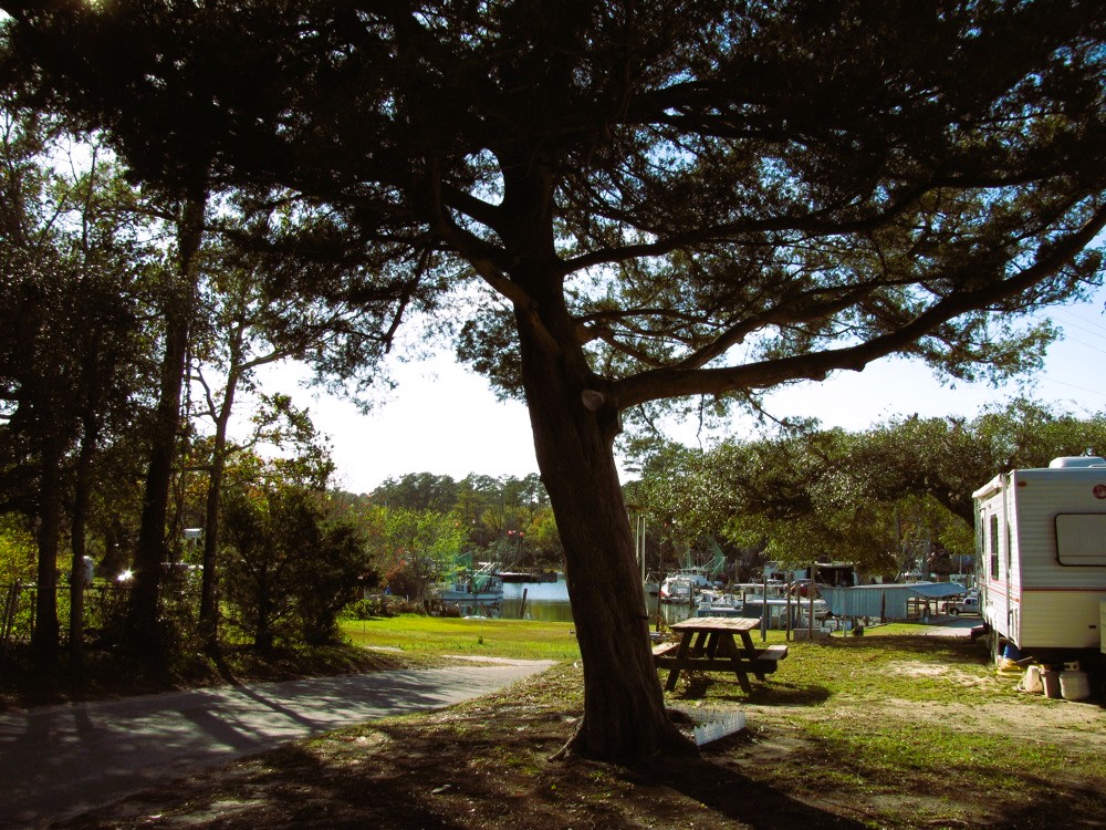 Millis Family Campground