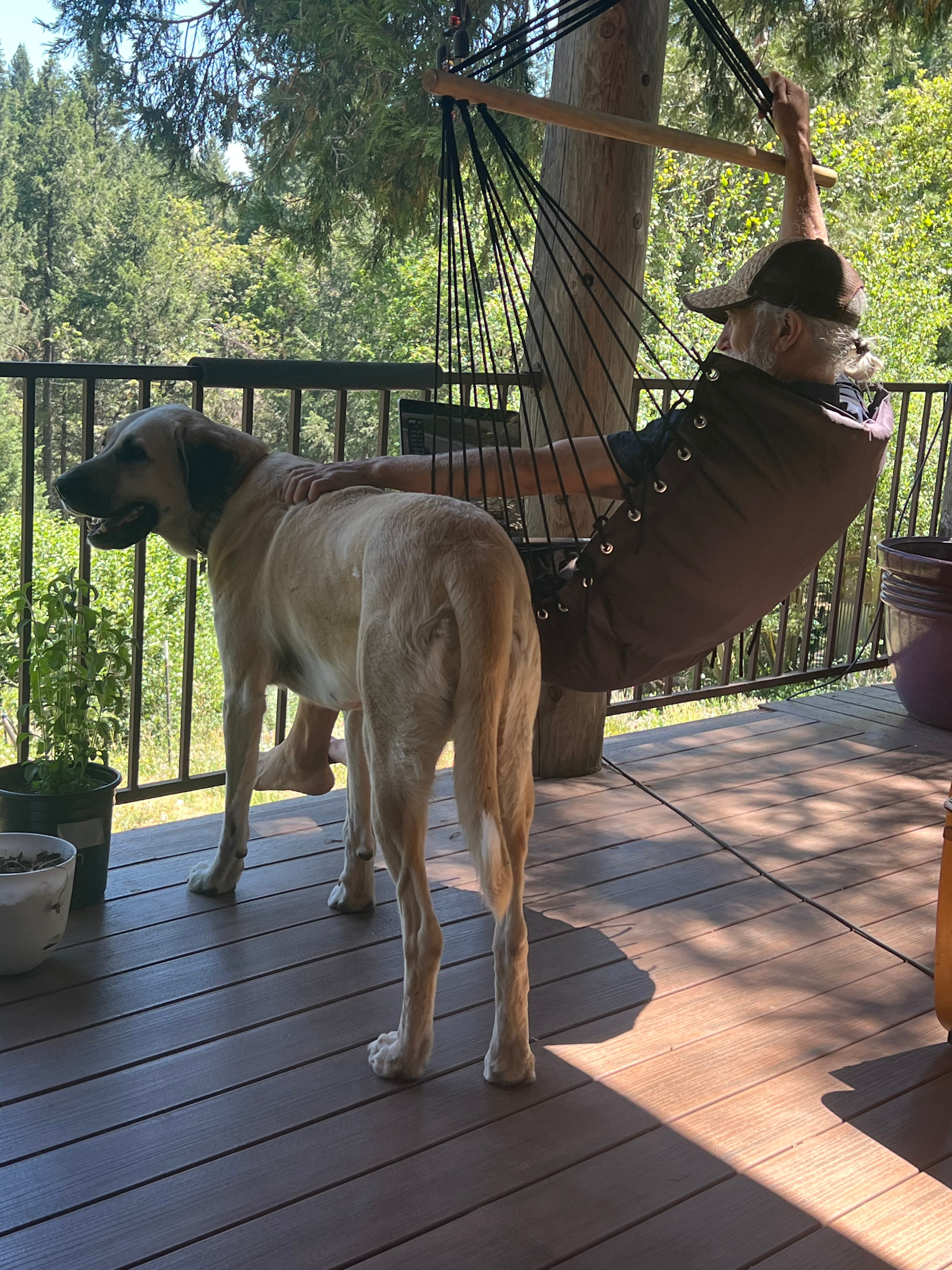 Birdsong Retreat/Tahoe Nat Forest