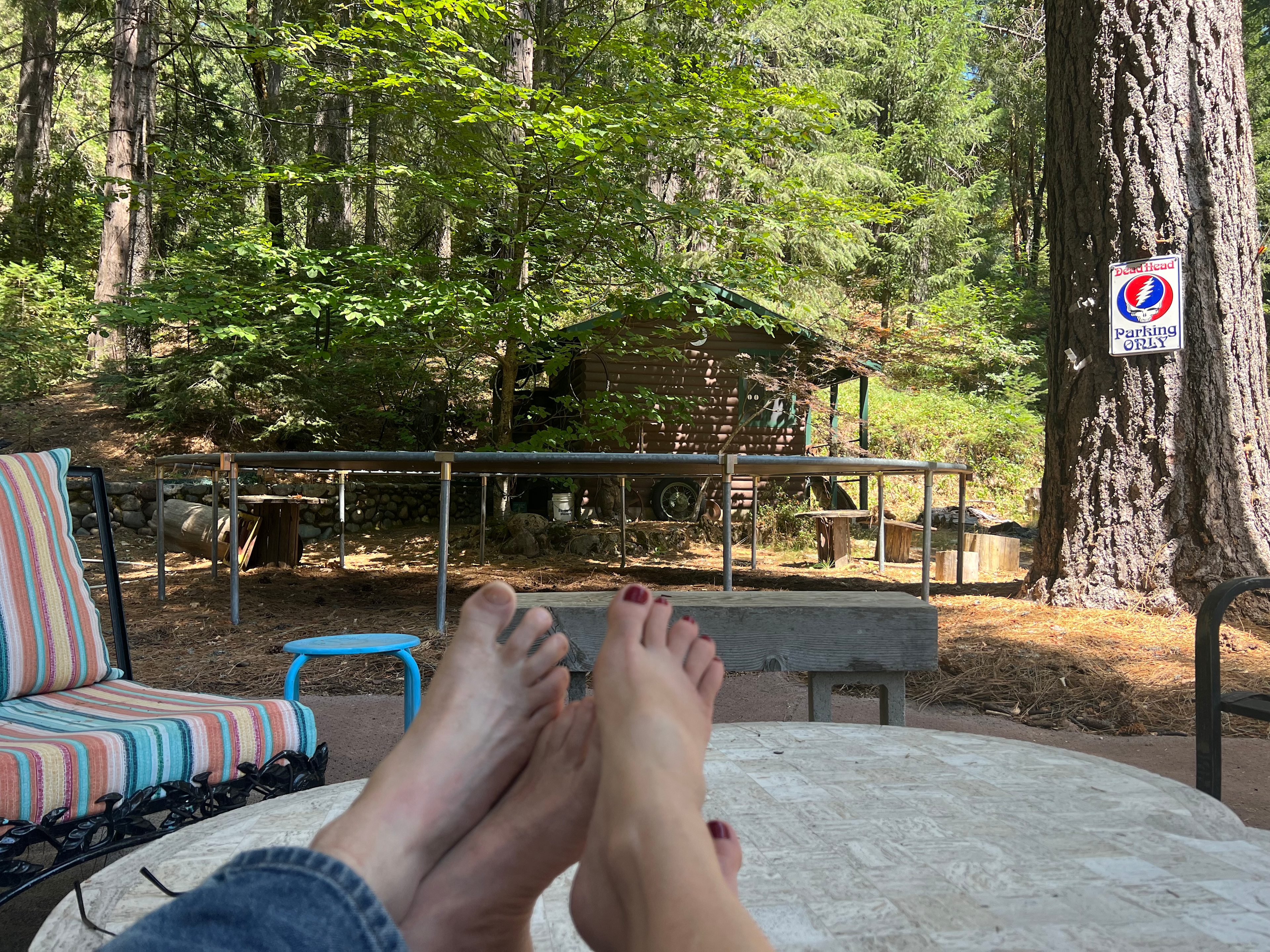 Birdsong Retreat/Tahoe Nat Forest