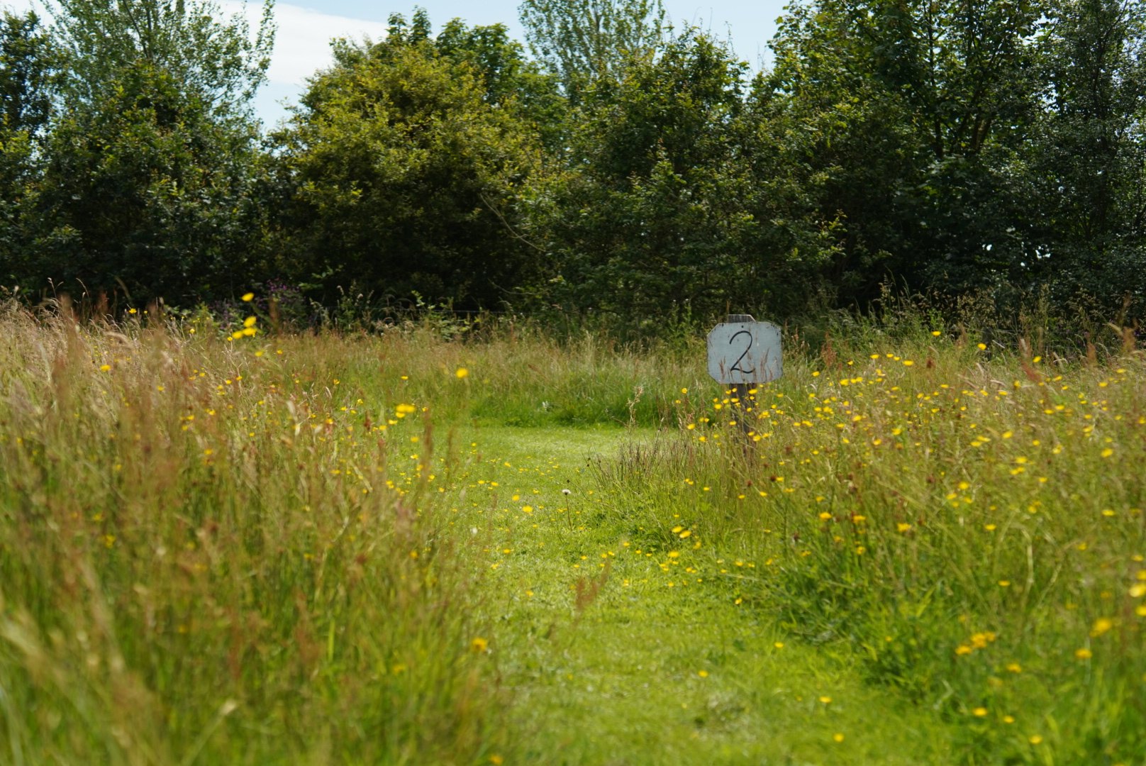 Felin Uchaf Meadow Camping