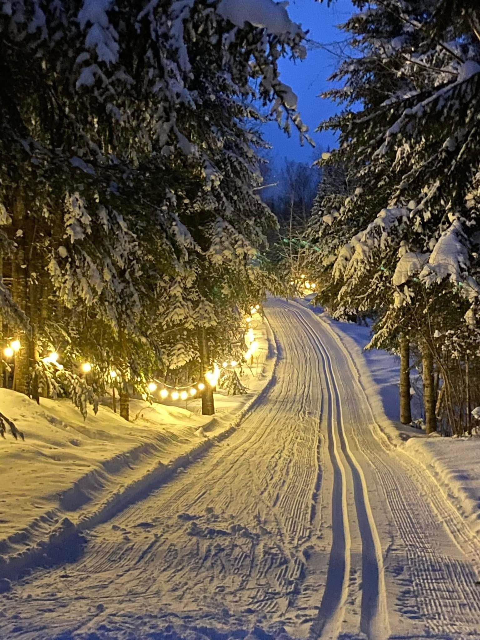 Gunflint Pines Resort and Campground