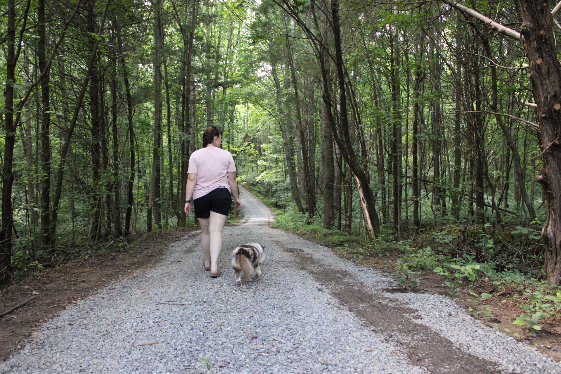This is the road leading to the camp sites. This is a Pet friendly camp ground!