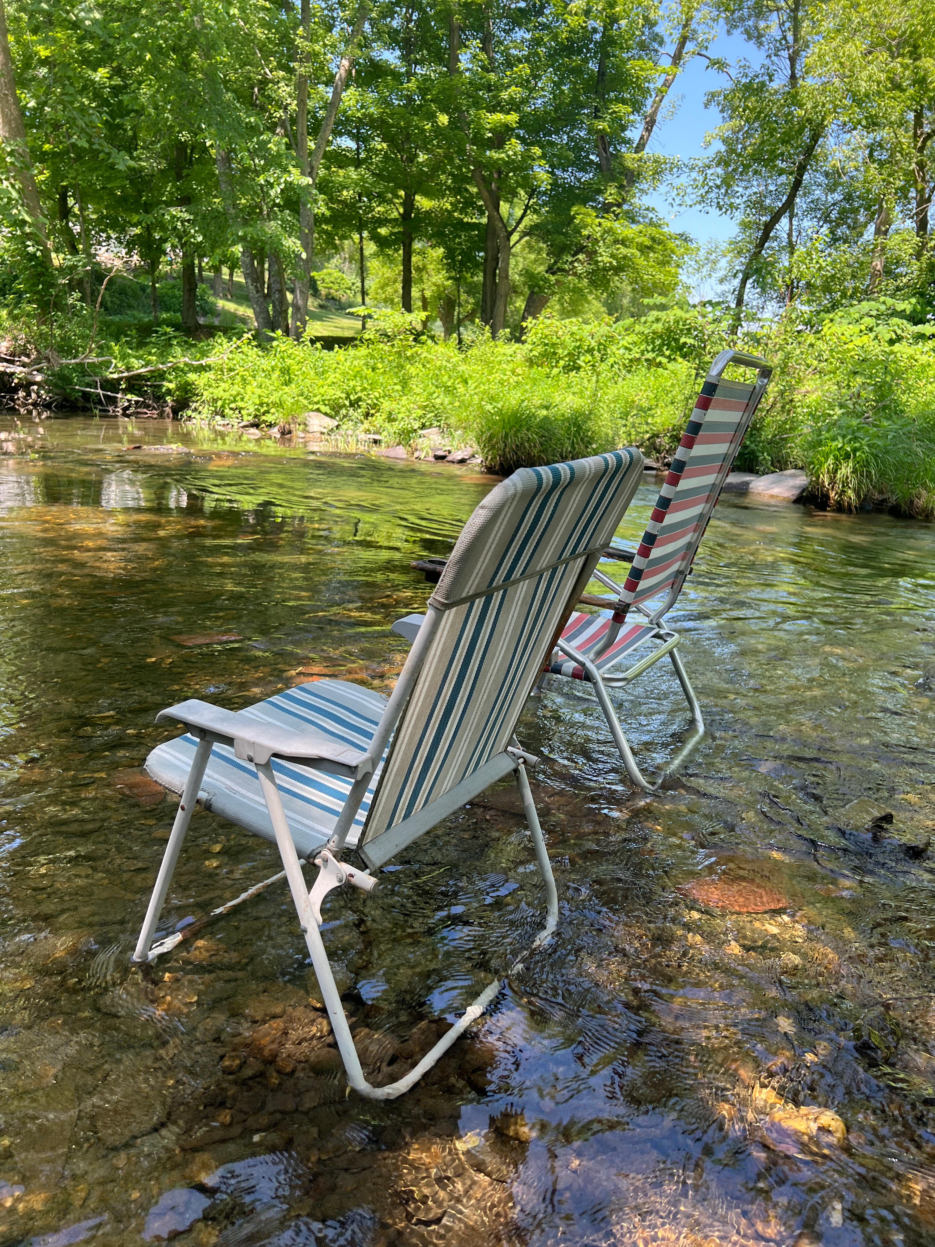 Riverside Retreat and Tiny Cabin