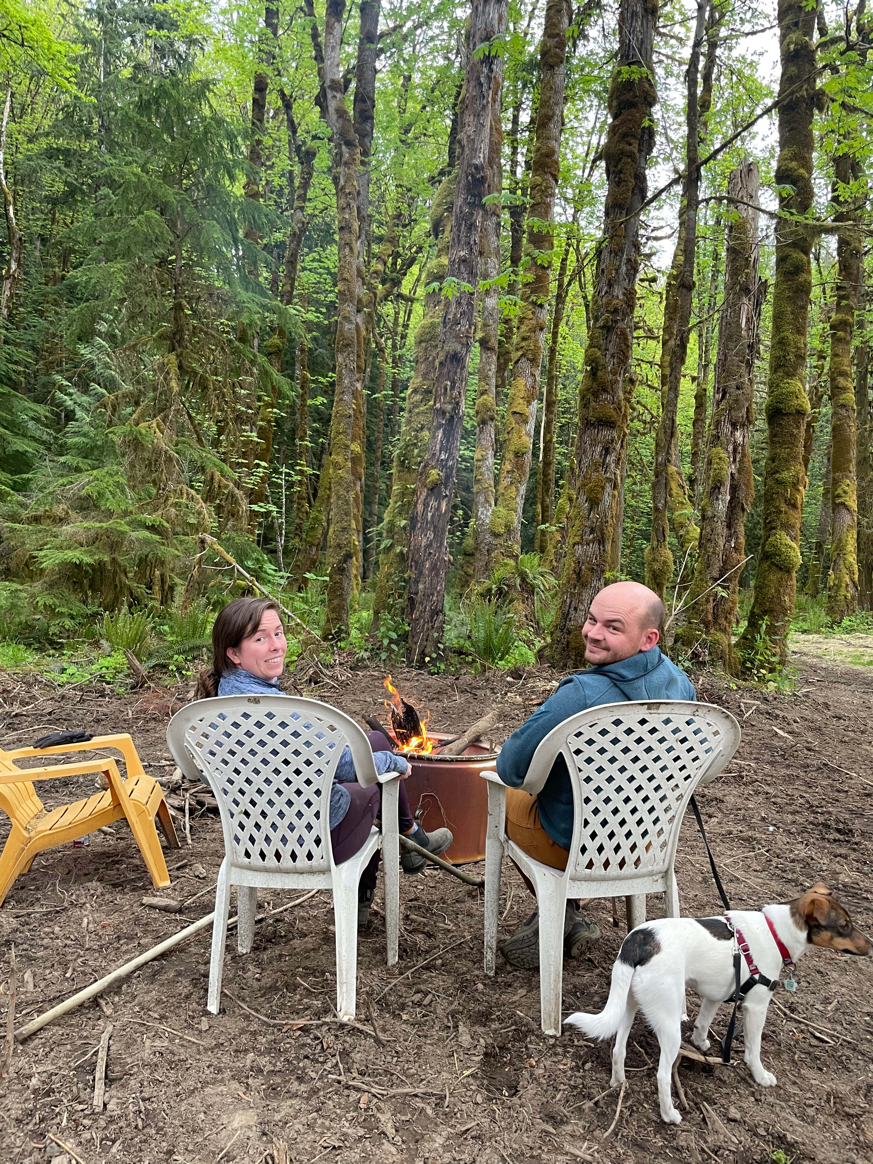 Mystic Maples Forest Retreat