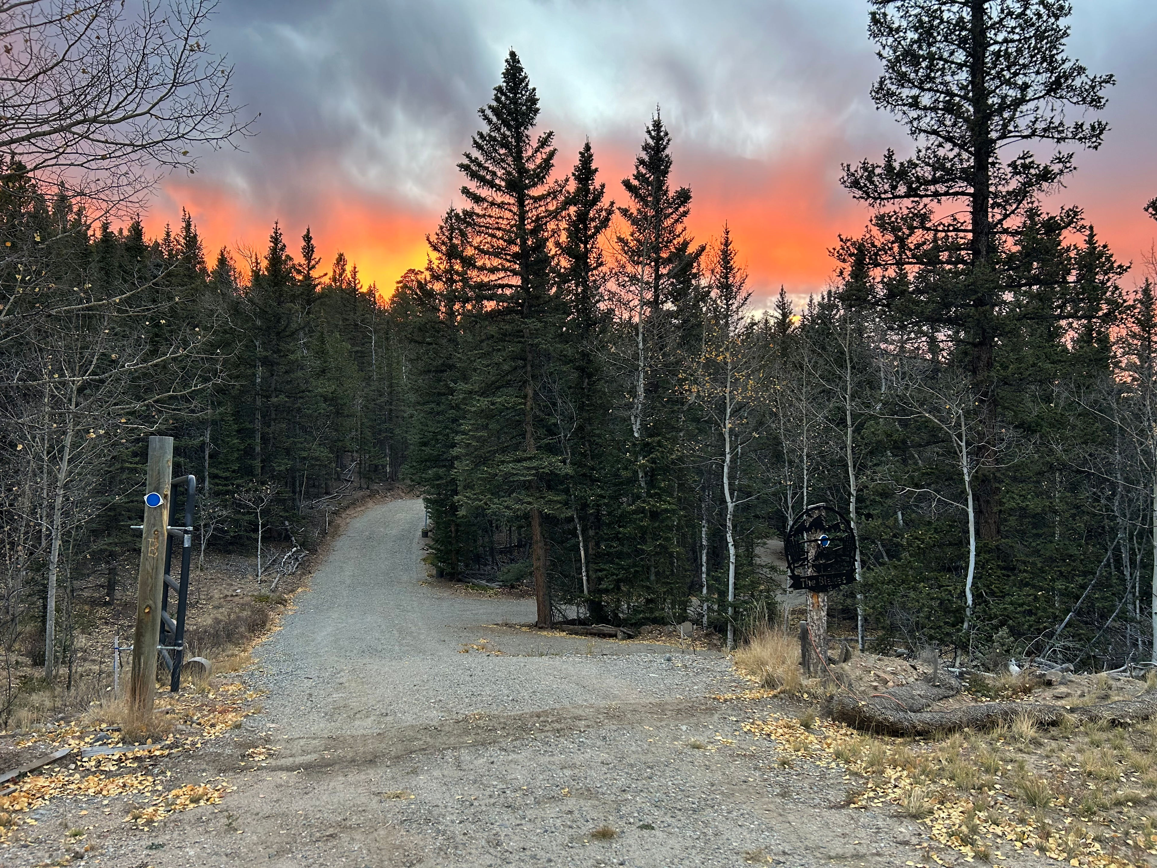 Bear Way