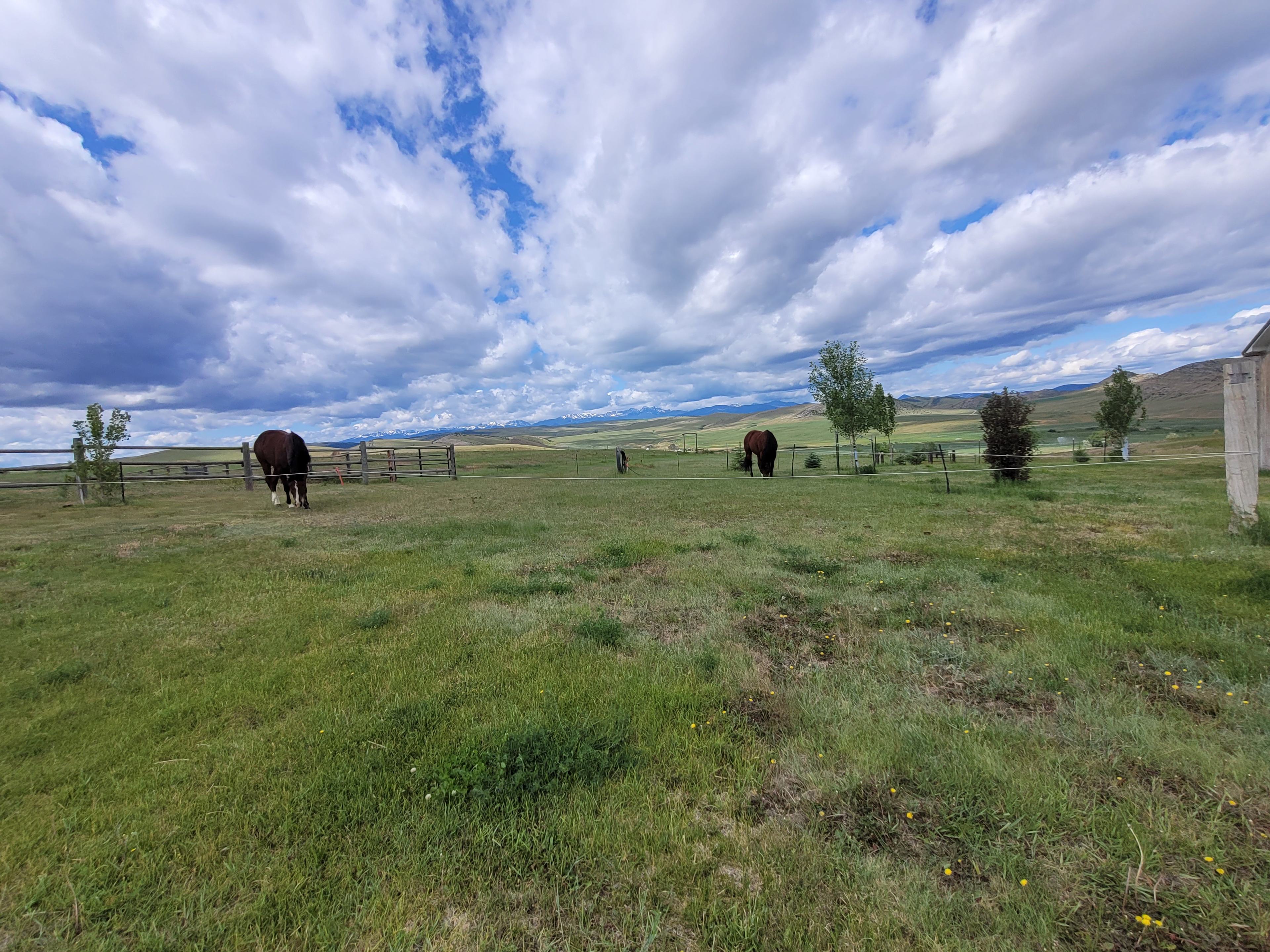 Davis Ranch