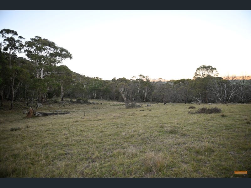 Alpine Bushland Camp