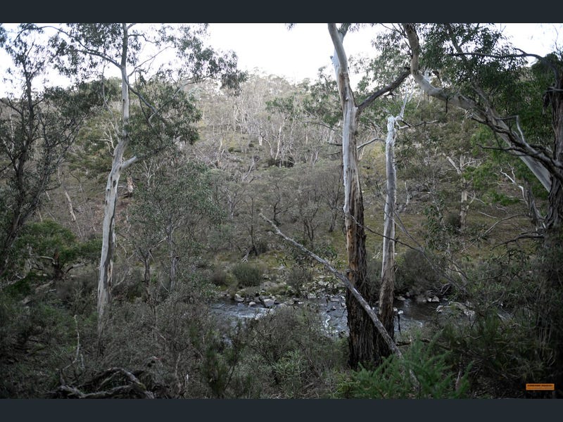 Alpine Bushland Camp