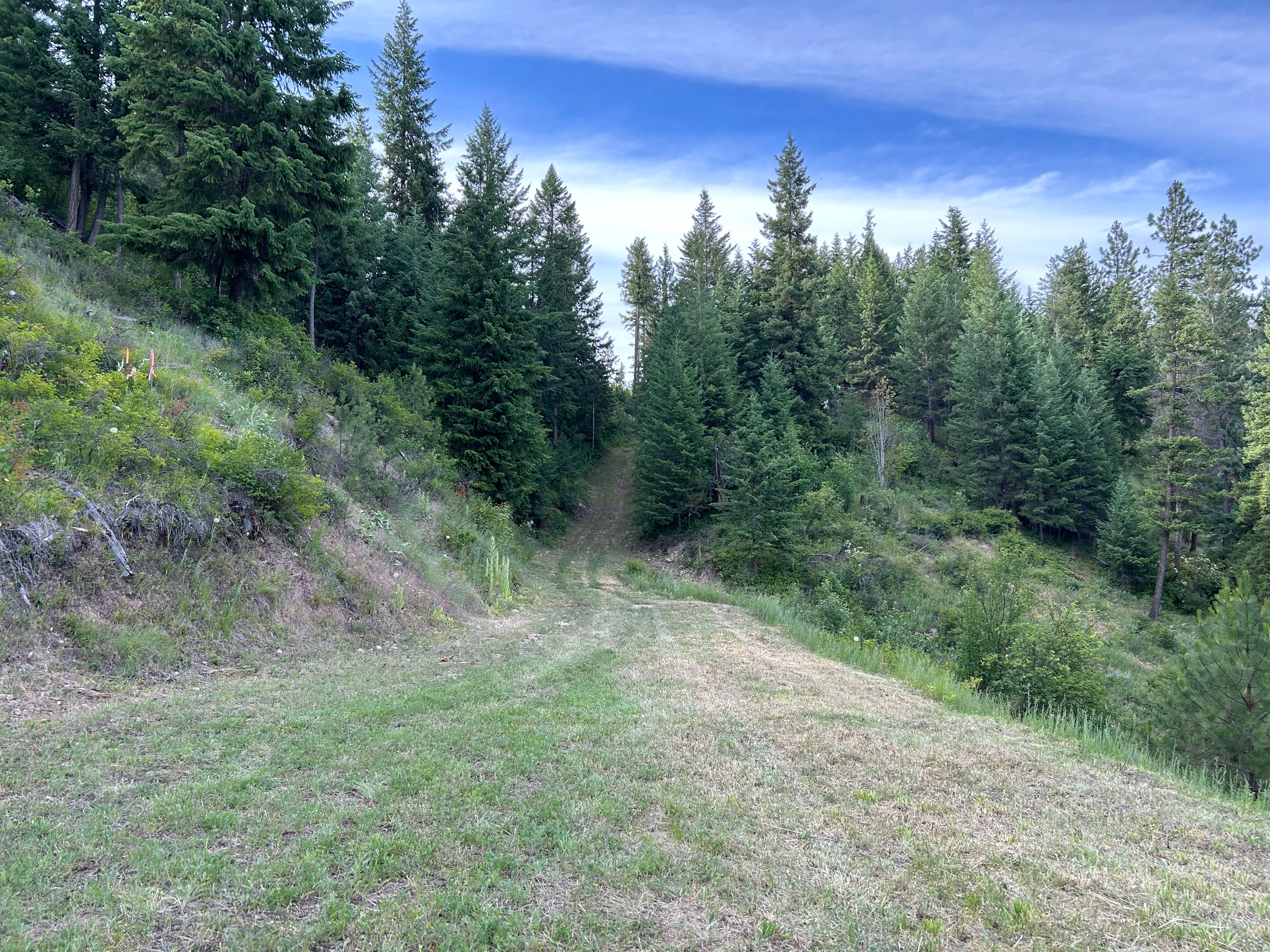 Looking back up hill over Site 1 that would fit several rigs.