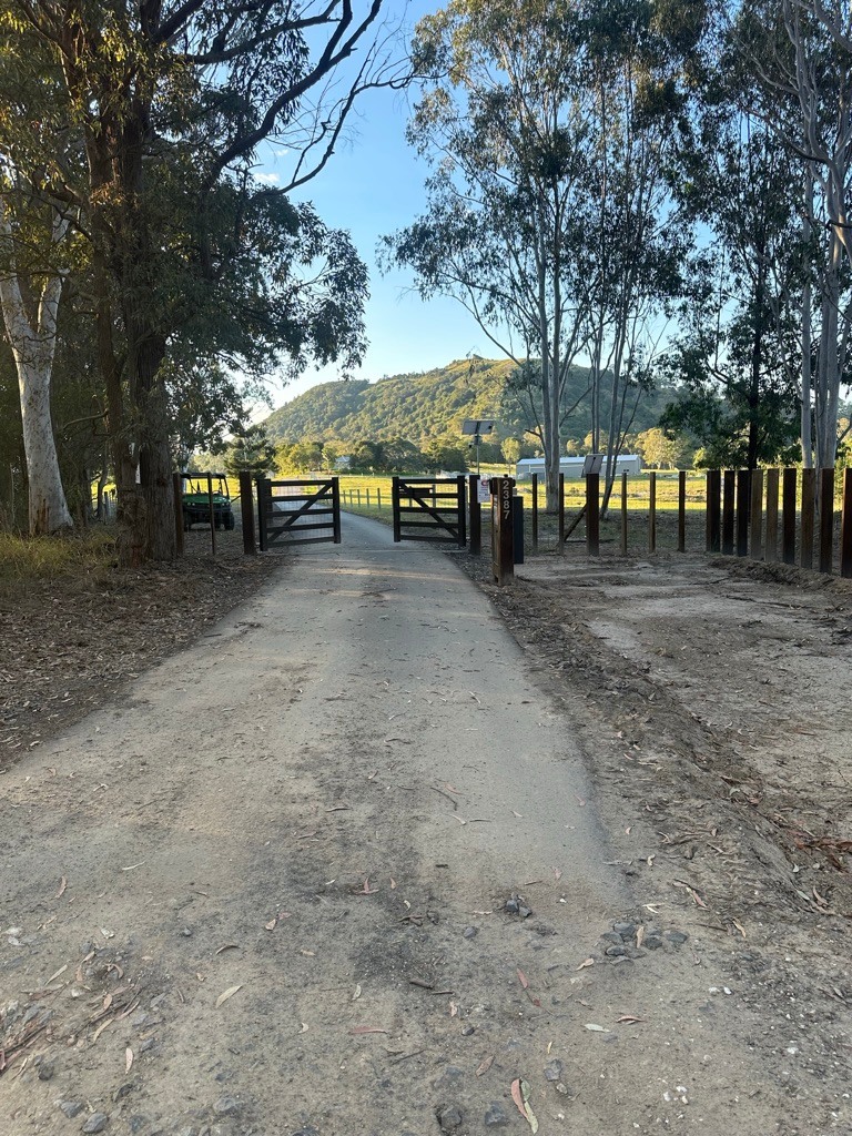 Coondoo Springs
