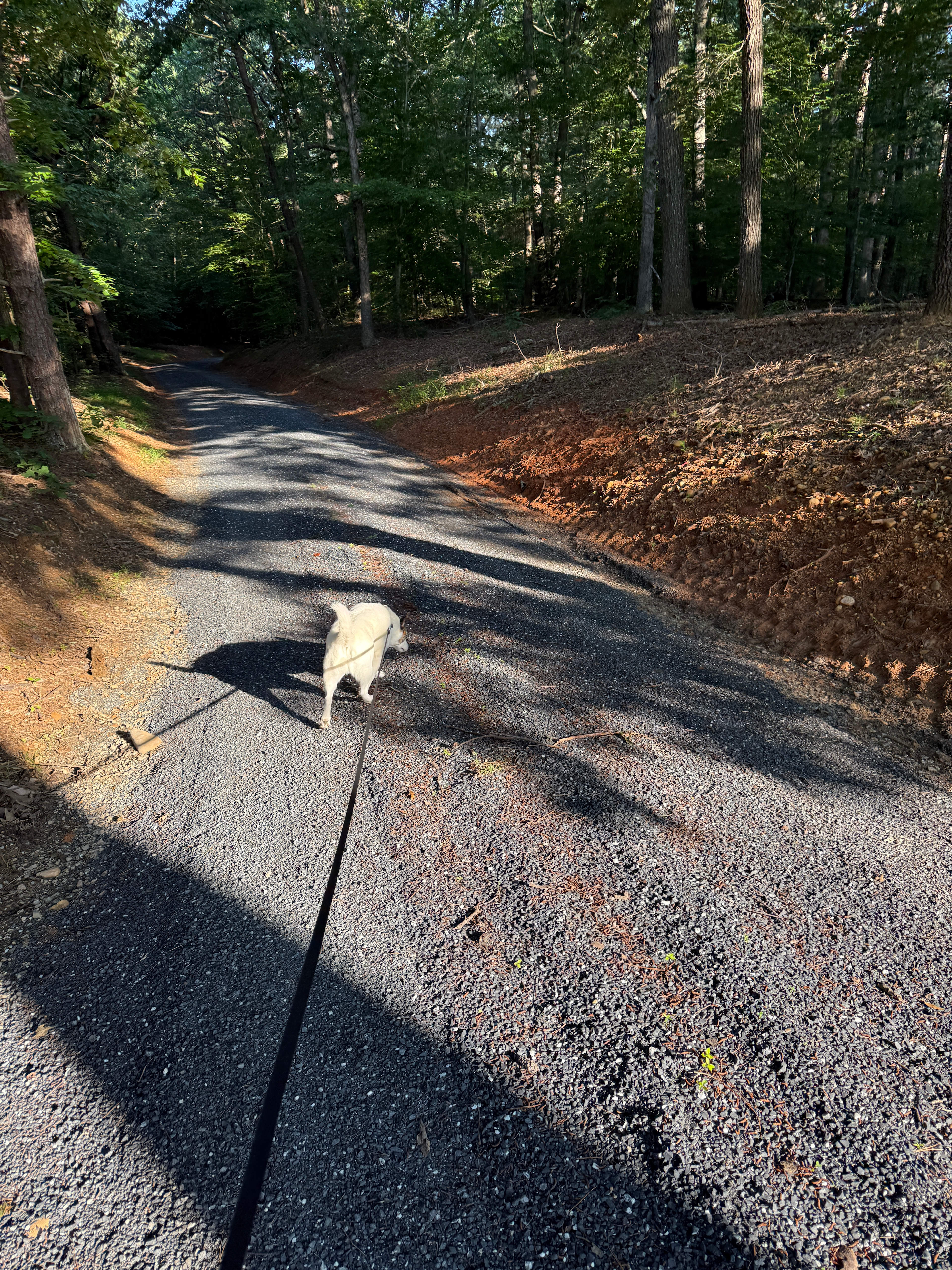 The Wilderness At Belmead