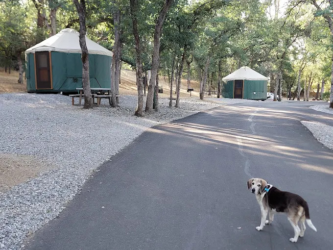 Boulder Creek RV Resort and Campground