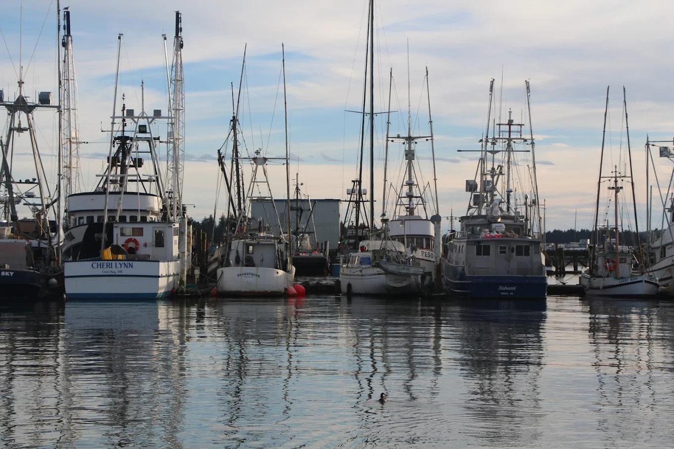Oregon International Port Of Coos Bay