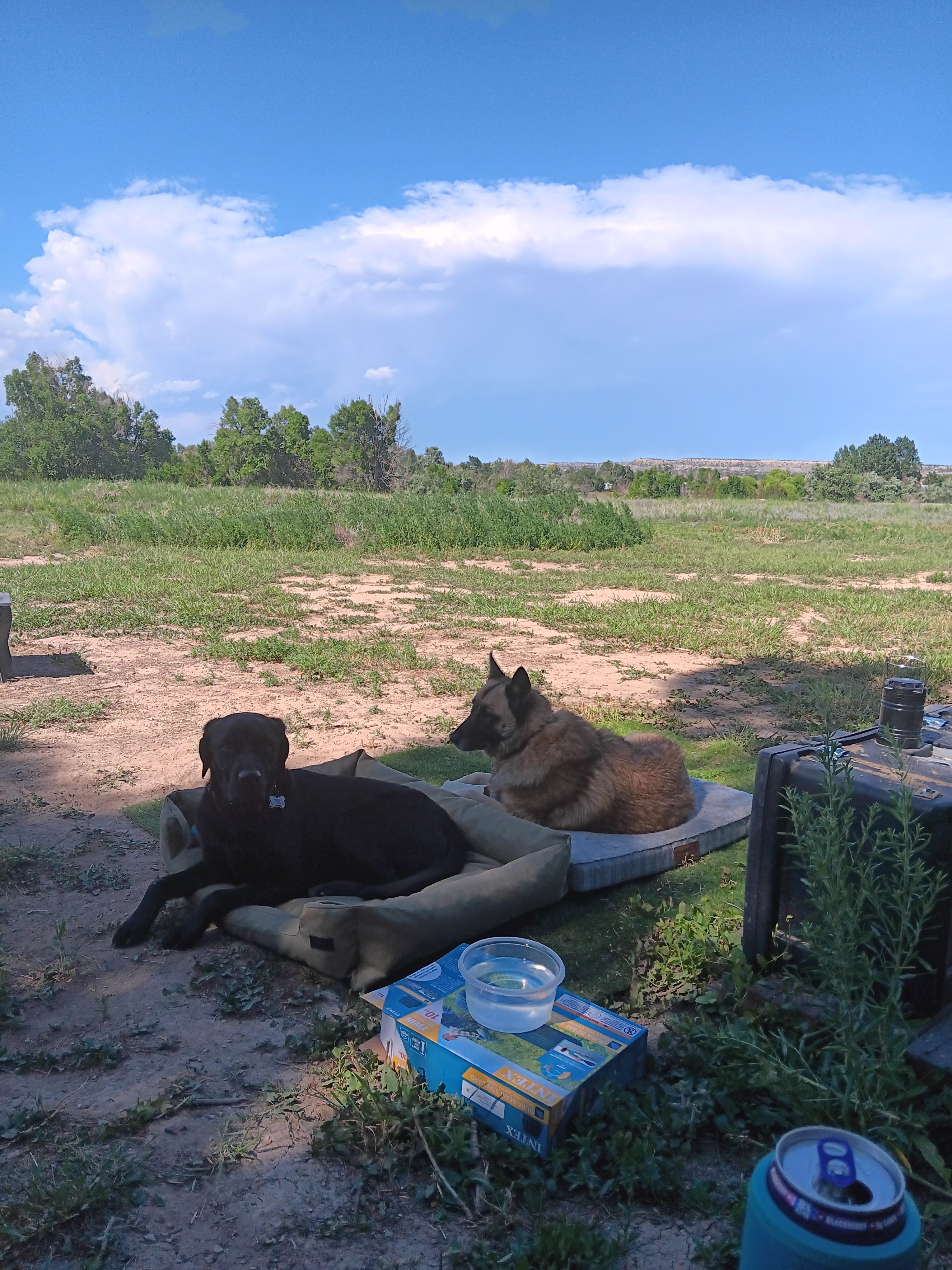 K's Camping