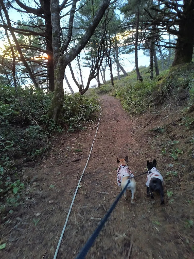 Alpine Chalets in Otter Rock by Vacasa
