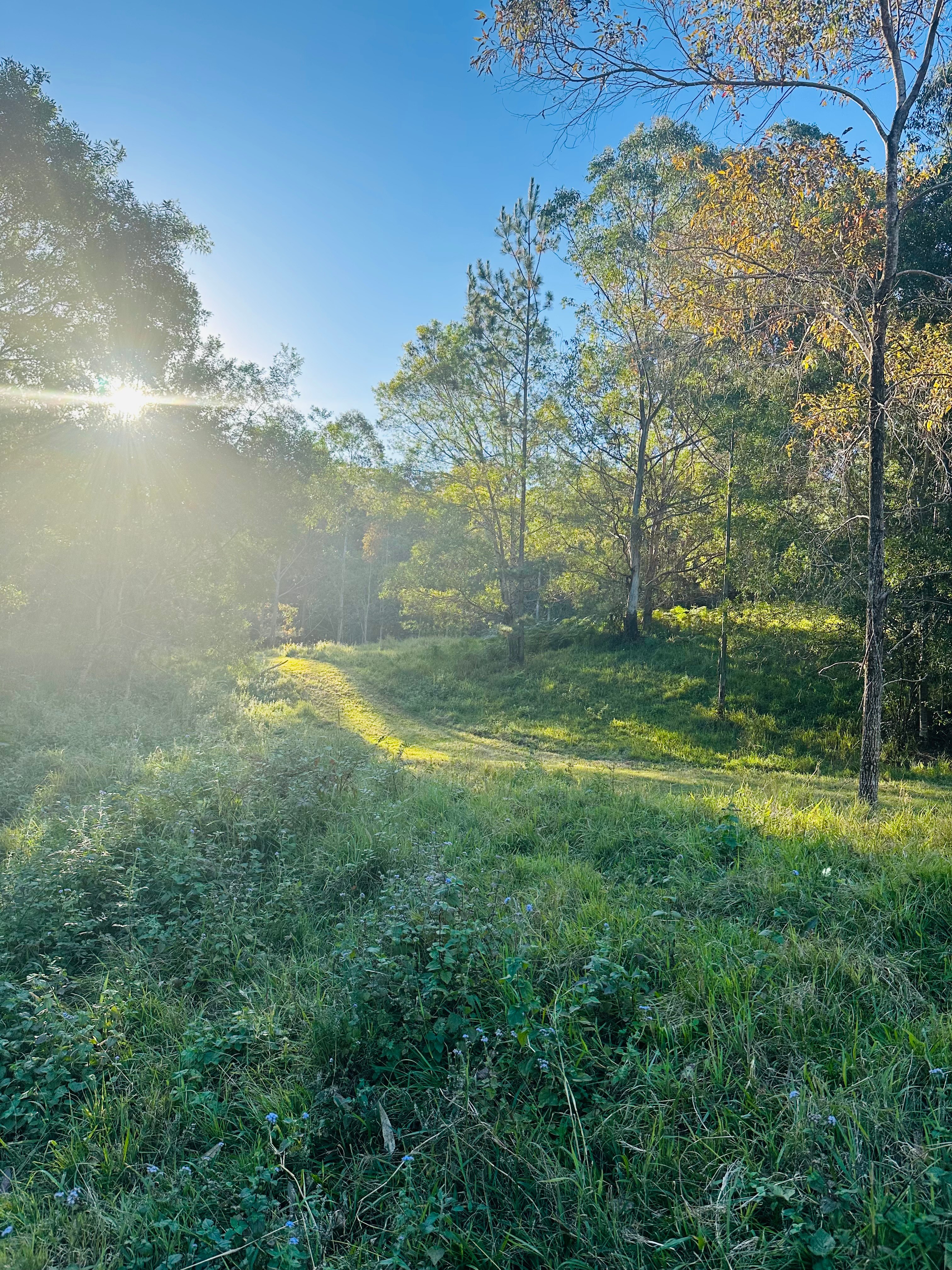 Whites Ridge