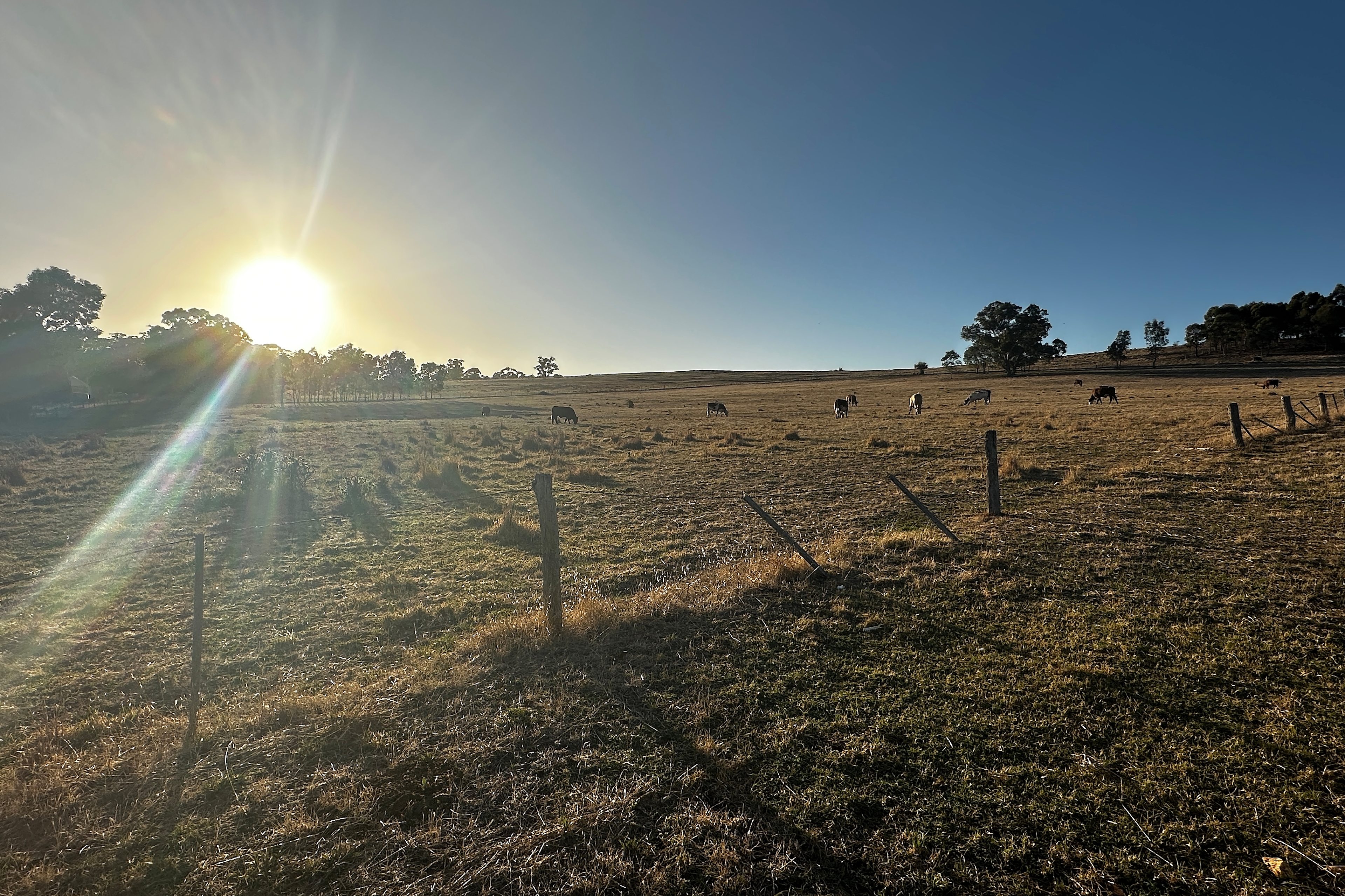 Timber & Stone Eco Studio