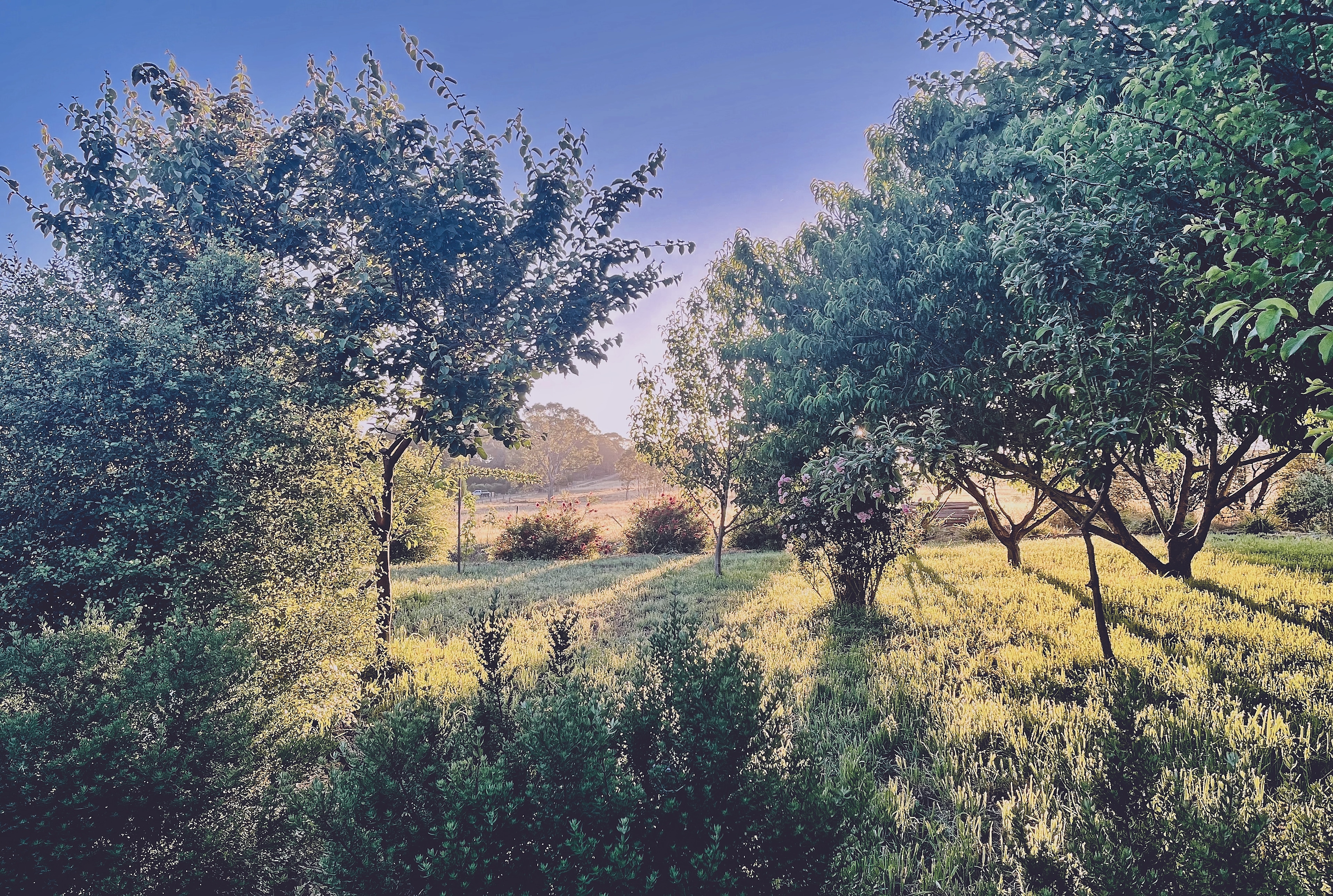 Timber & Stone Eco Studio