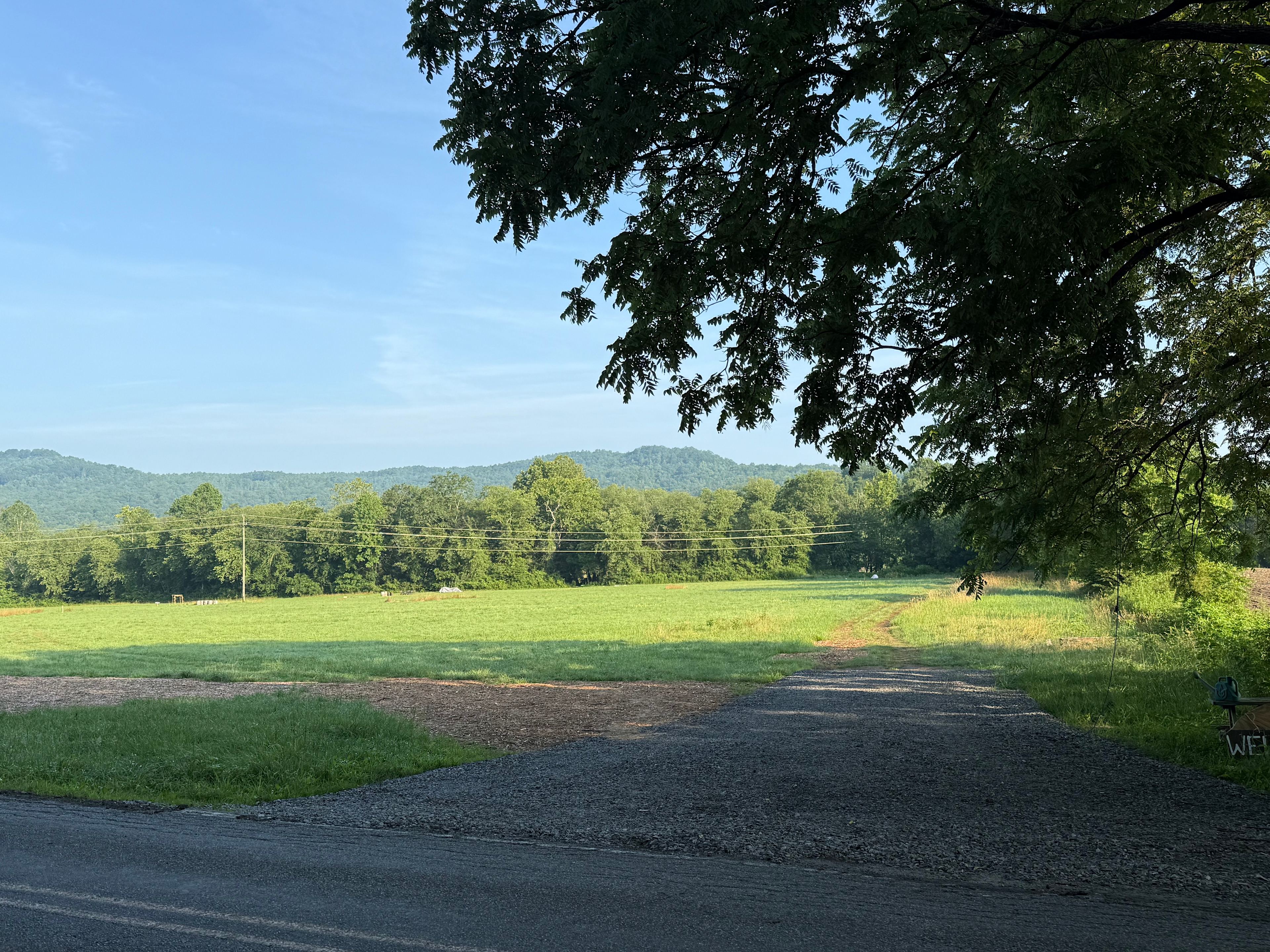 Josie's Field