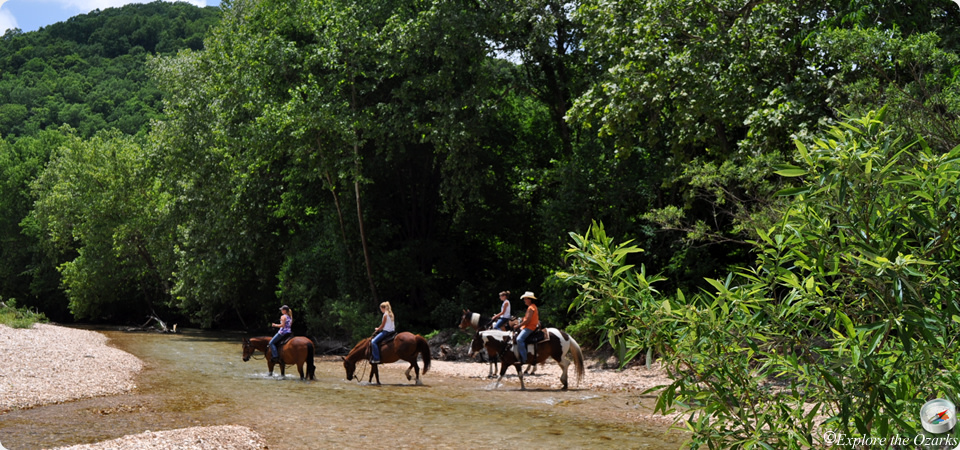 Sinking Creek Ranch