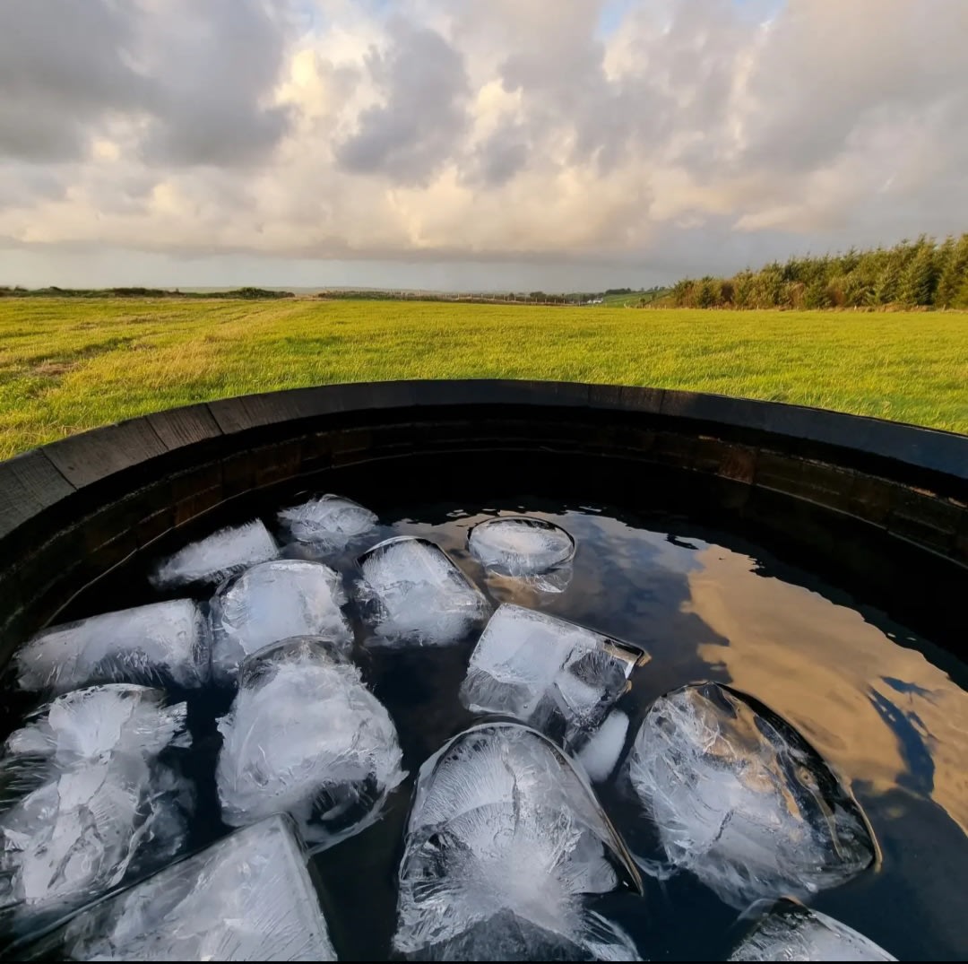 Moleshill Retreat, Ceredigion