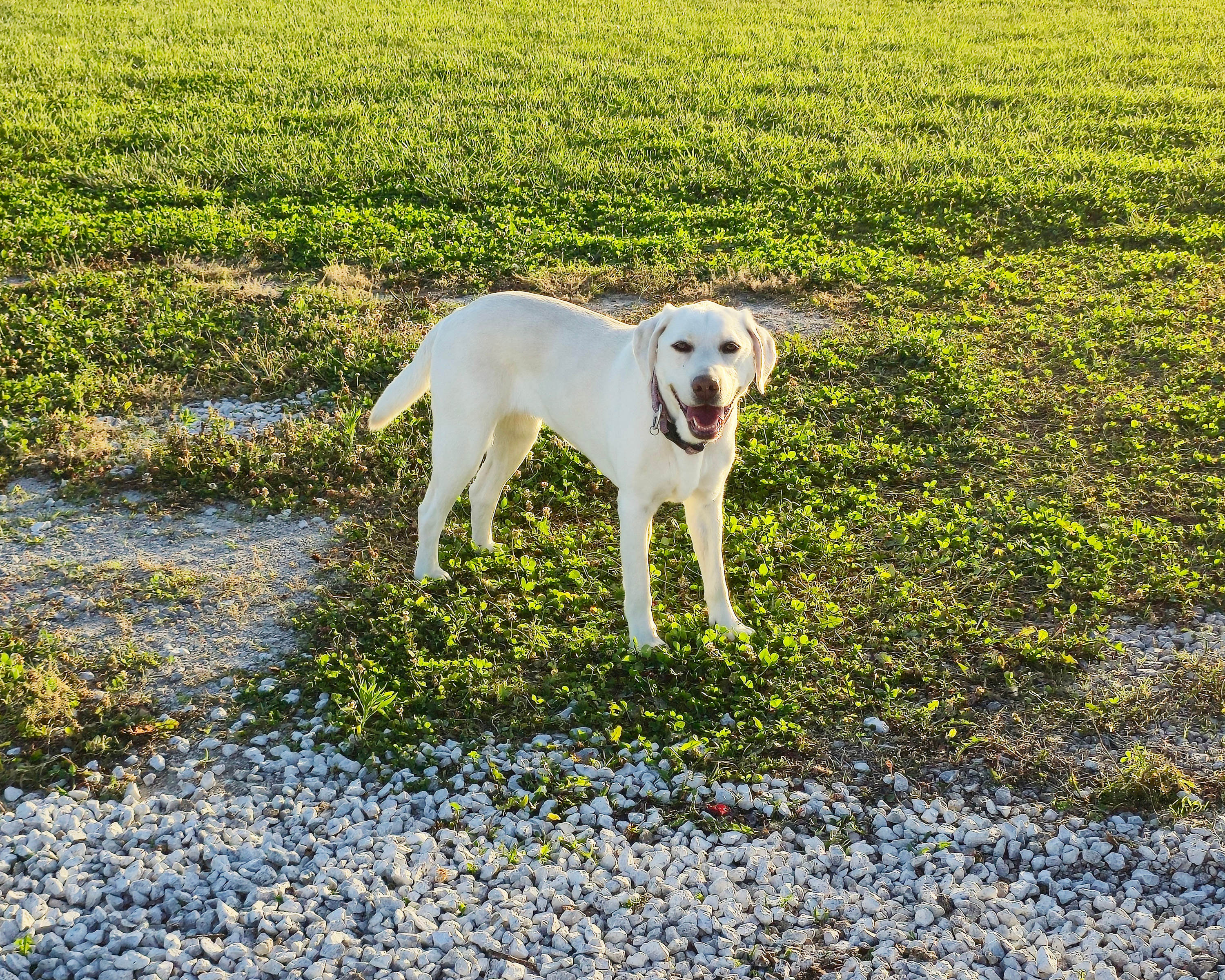 Where the Sun Rises and Sets