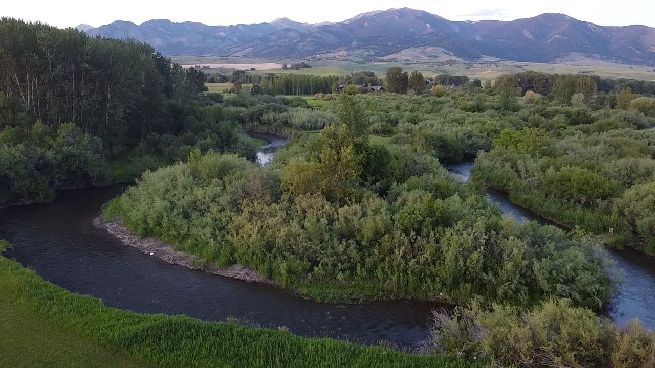 East Gallatin River Campsite