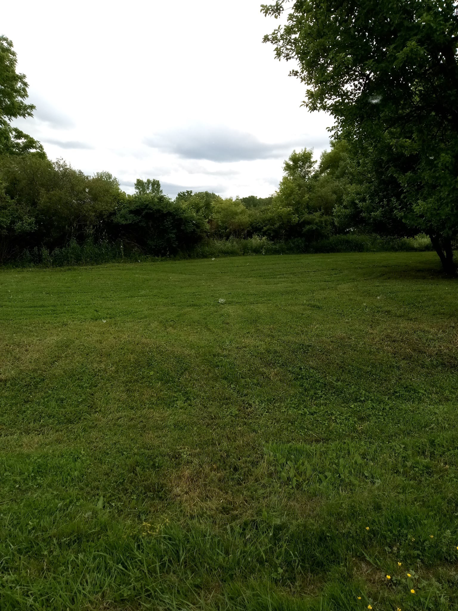 Creek Road Acres