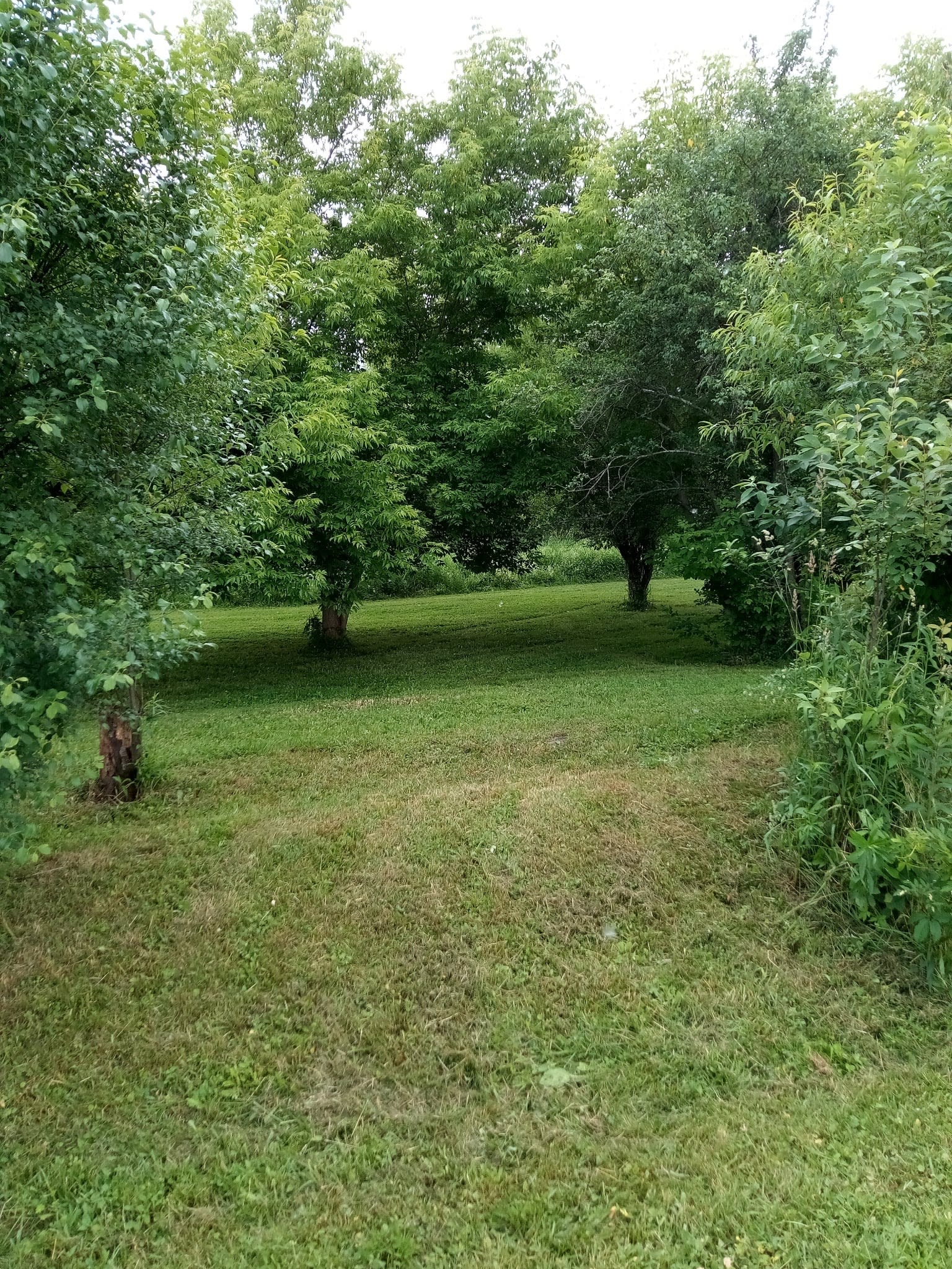 Creek Road Acres
