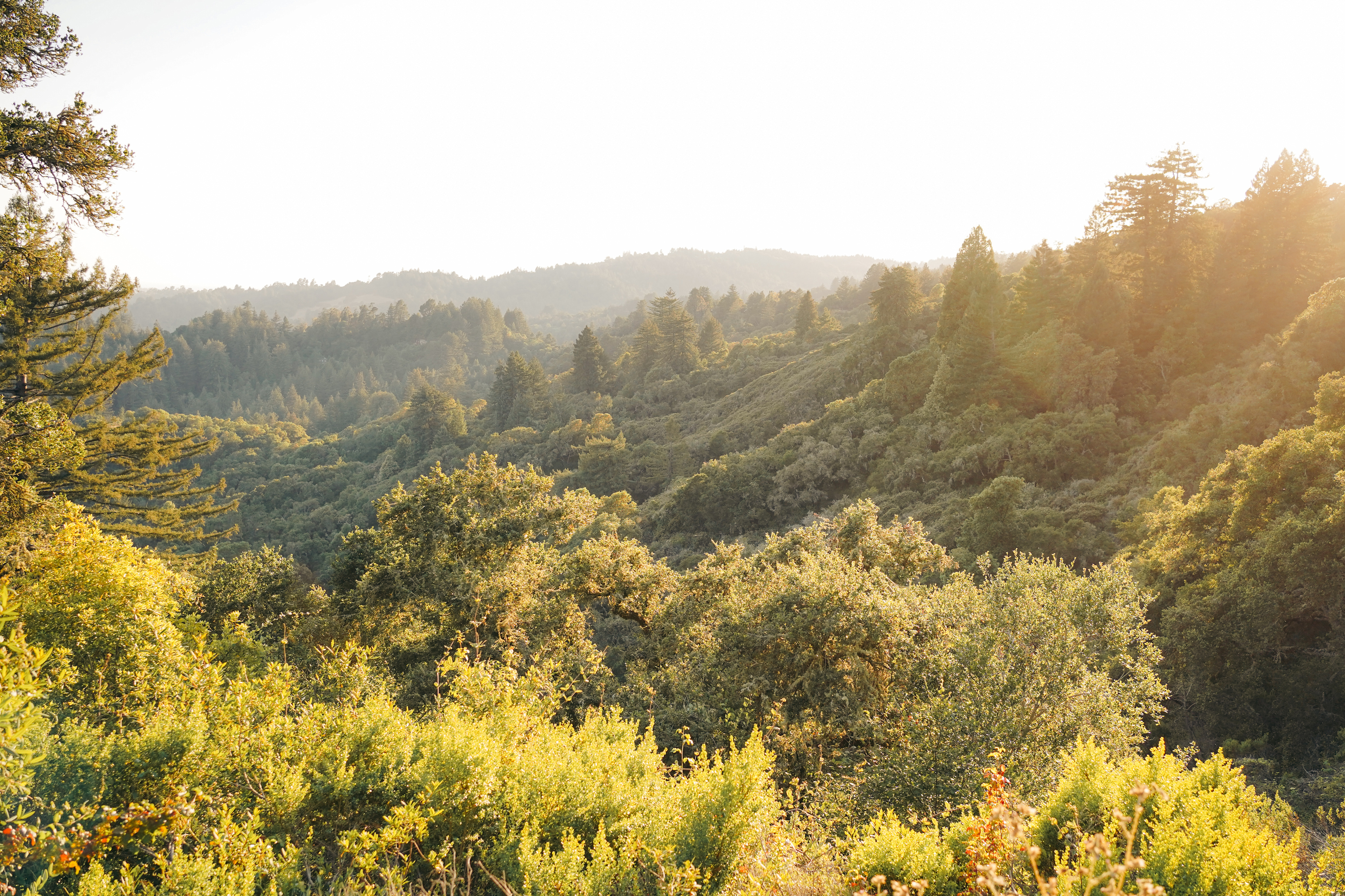 View from sunset view cabana 