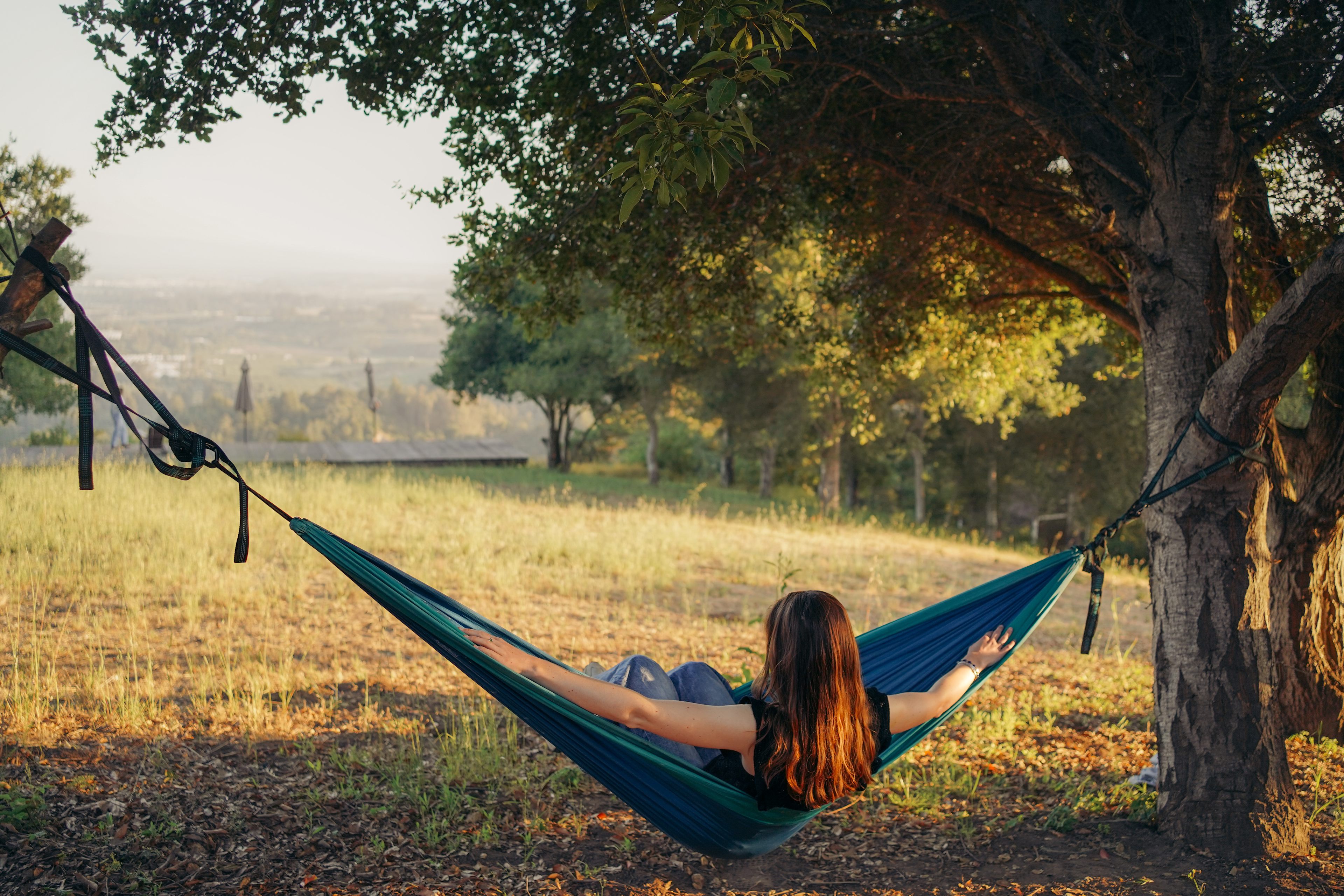 Hammock on property 