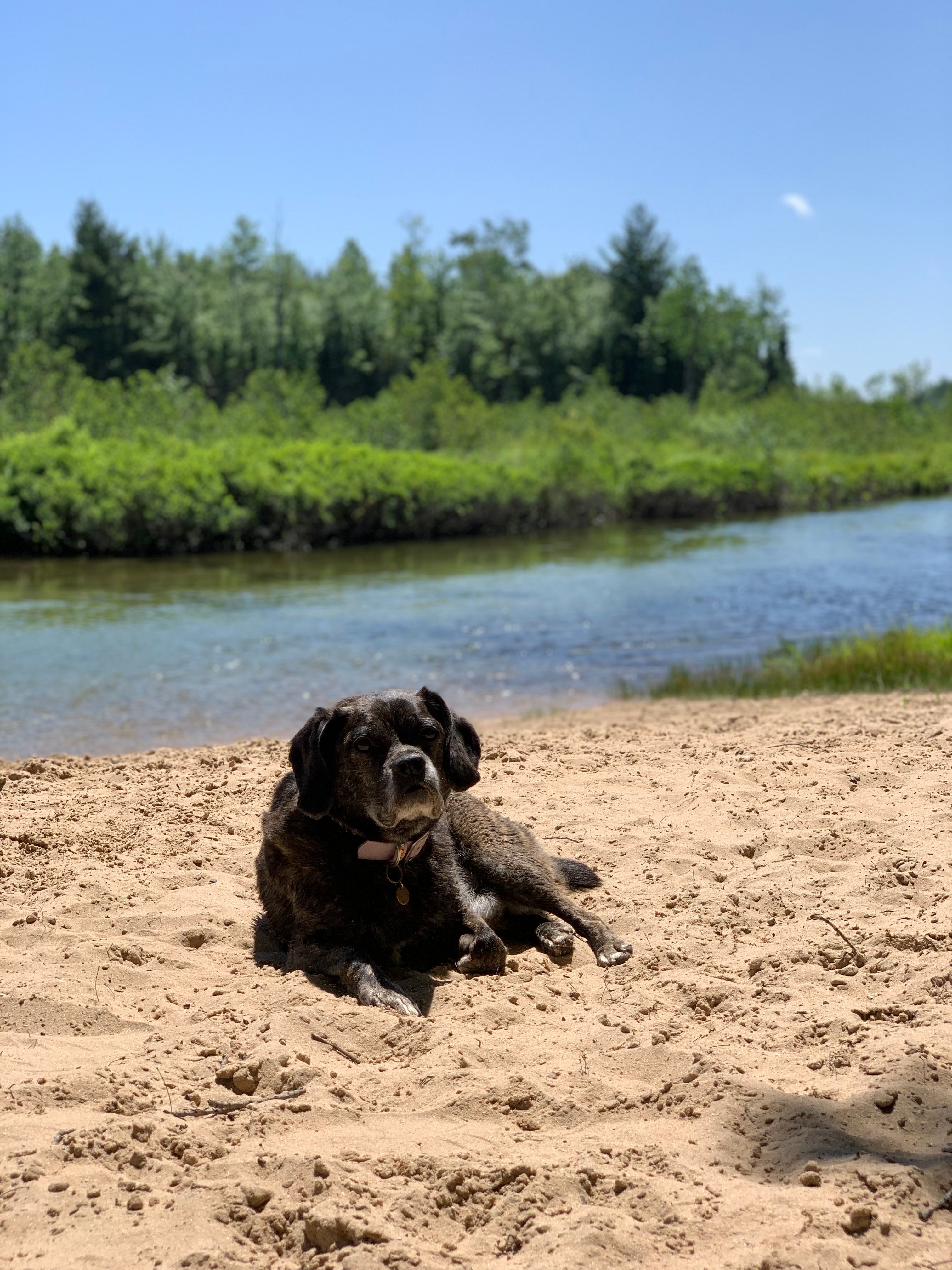 Clean sand to sunbathe on