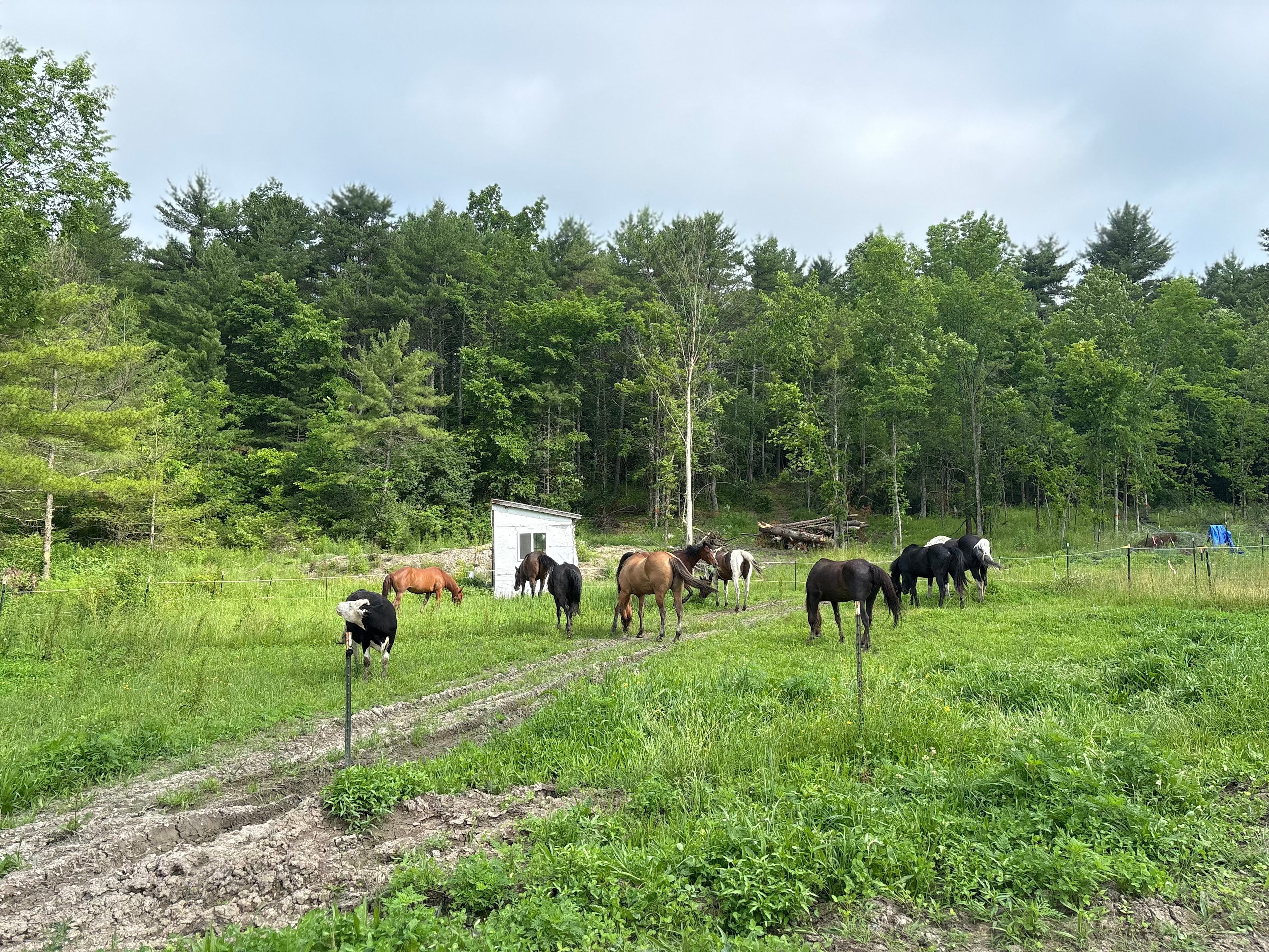 Running Bare Ridge Farm