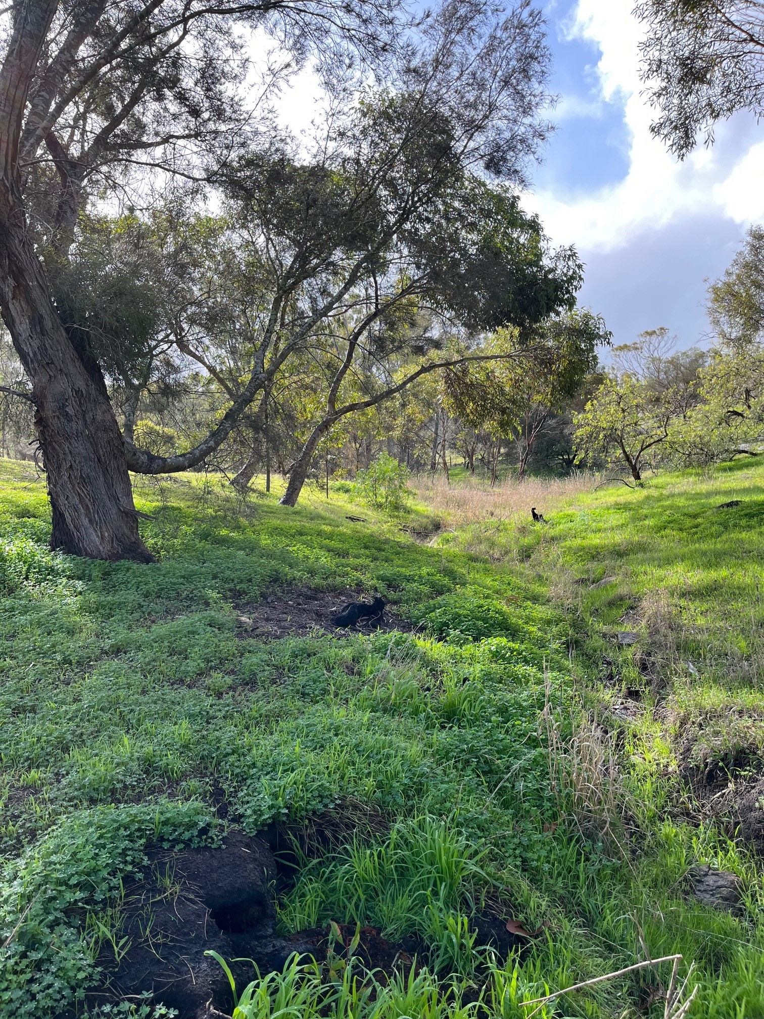 Bee Keepers Homestead