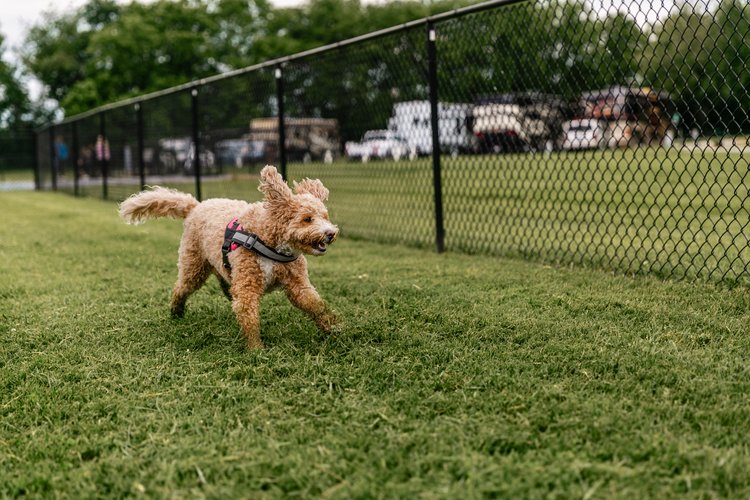 Riverside Mission, Inc.