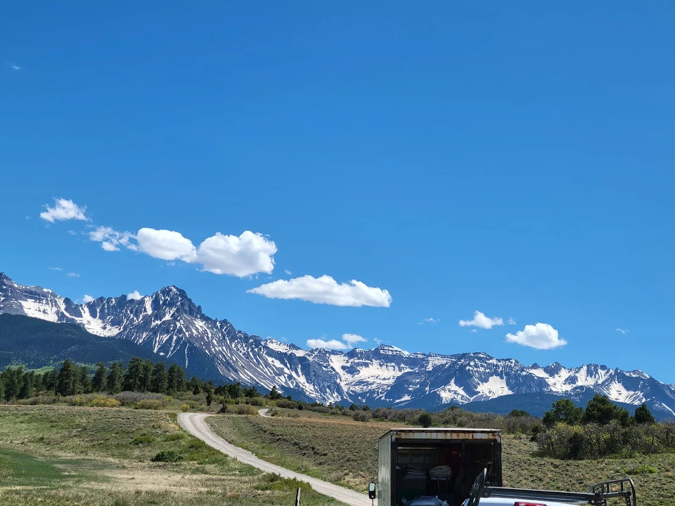Top of the Pines