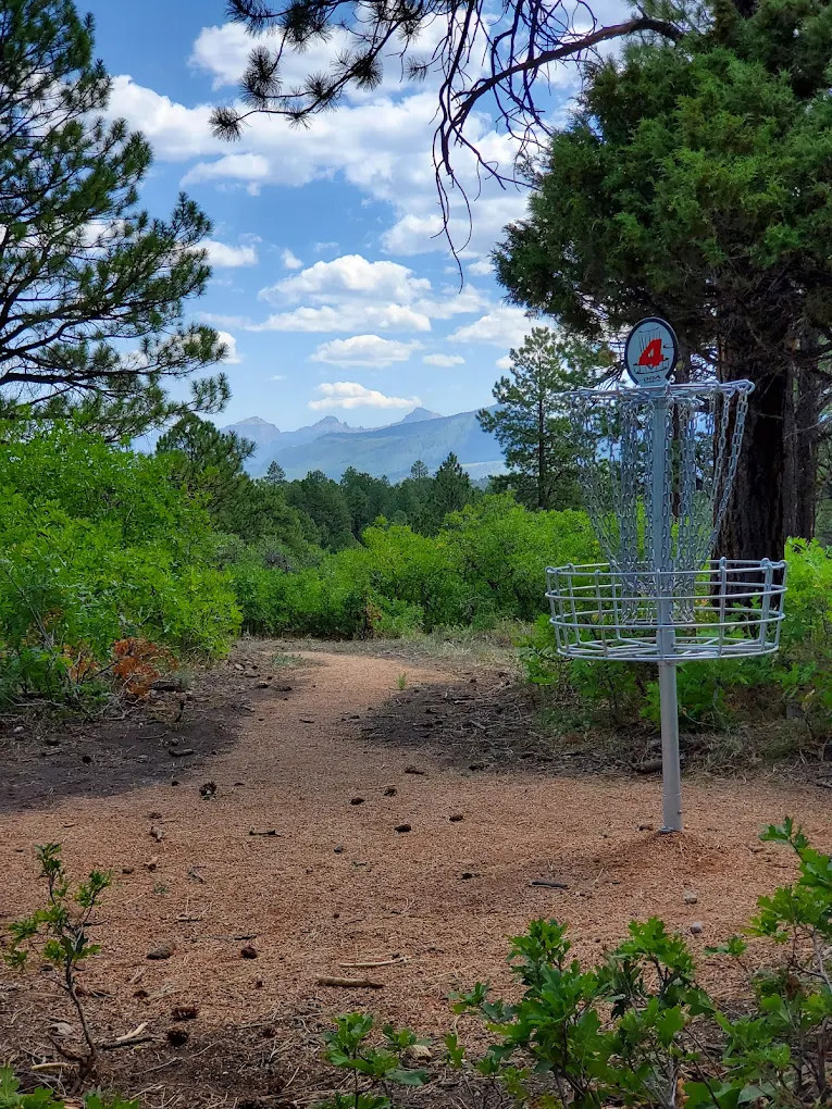 Top of the Pines