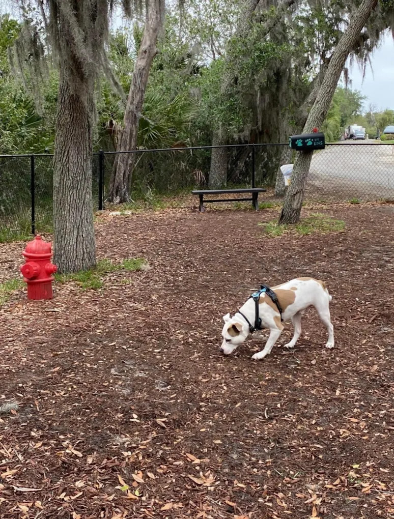 Indian Mound Fish Camp