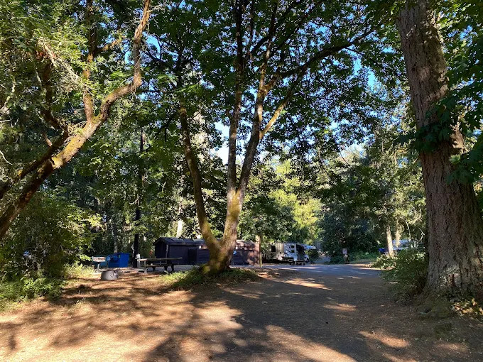 Travel Camp and Cabins