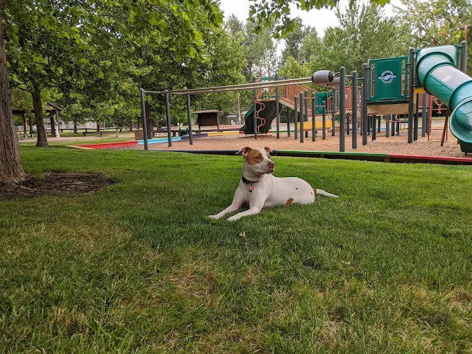 Friends of Dufur Park Inc